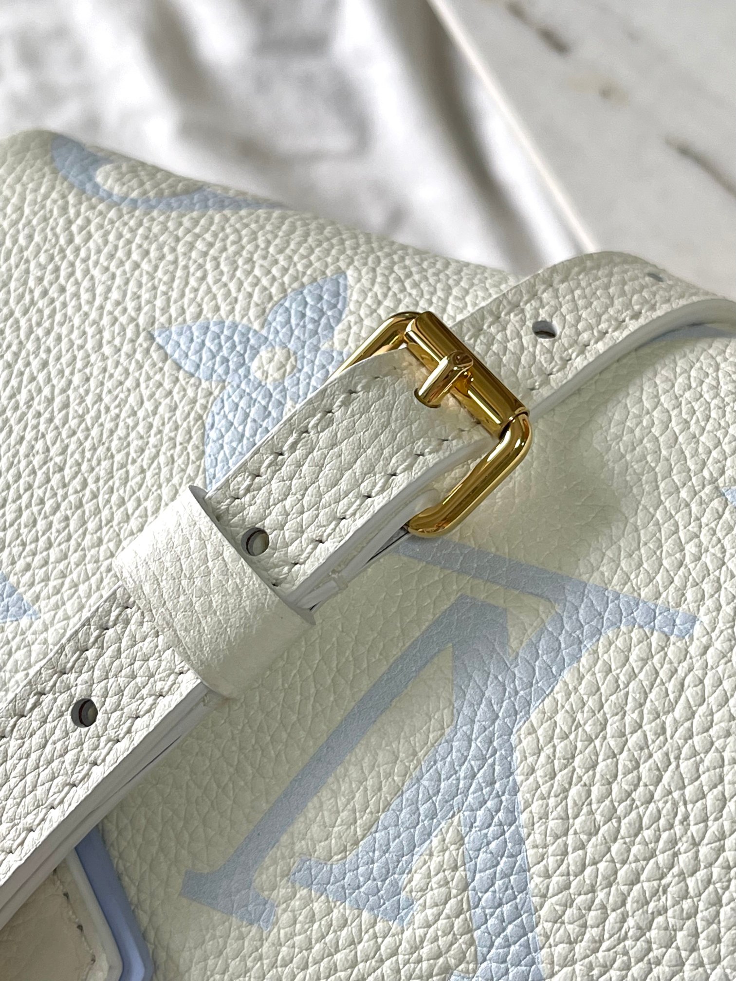 LV Bag