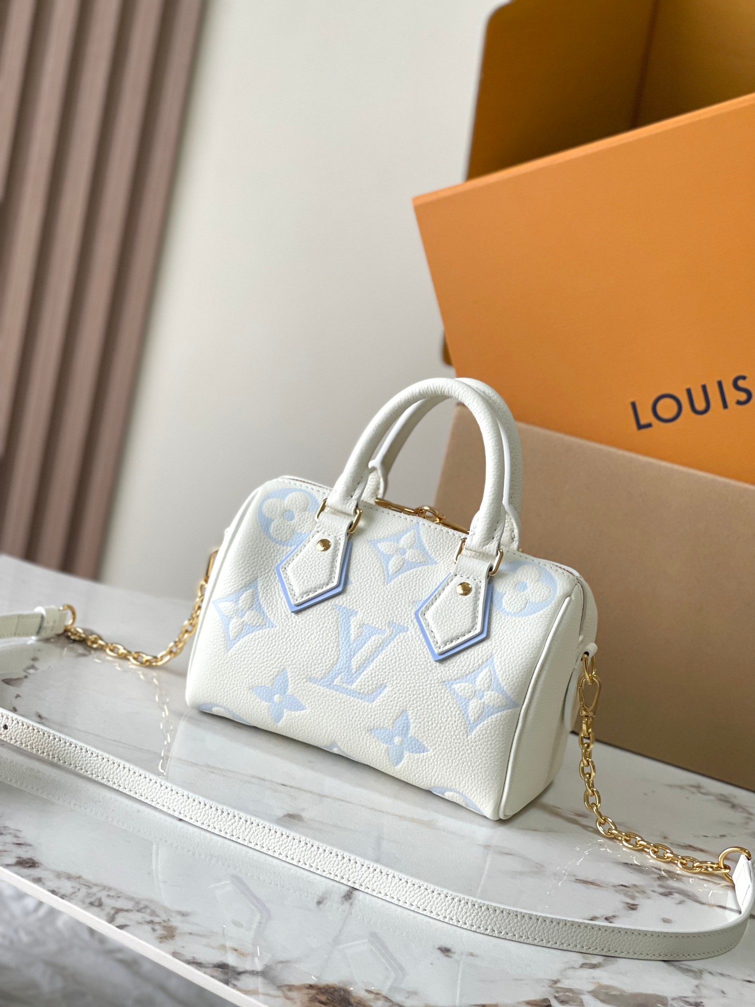 LV Bag