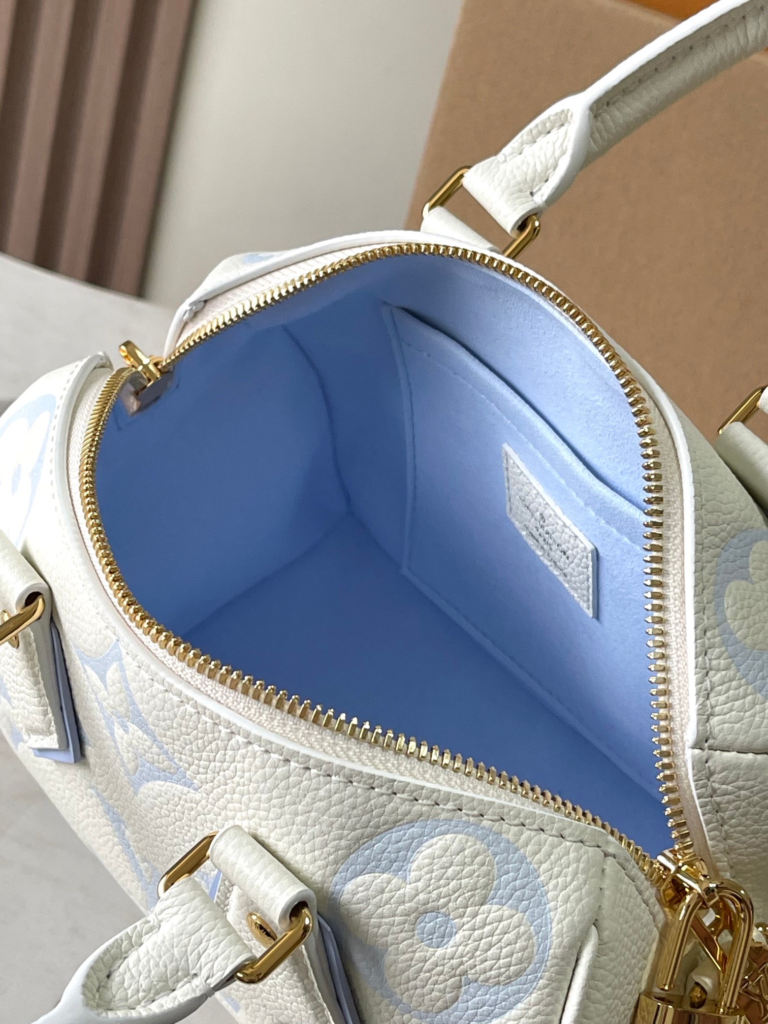 LV Bag