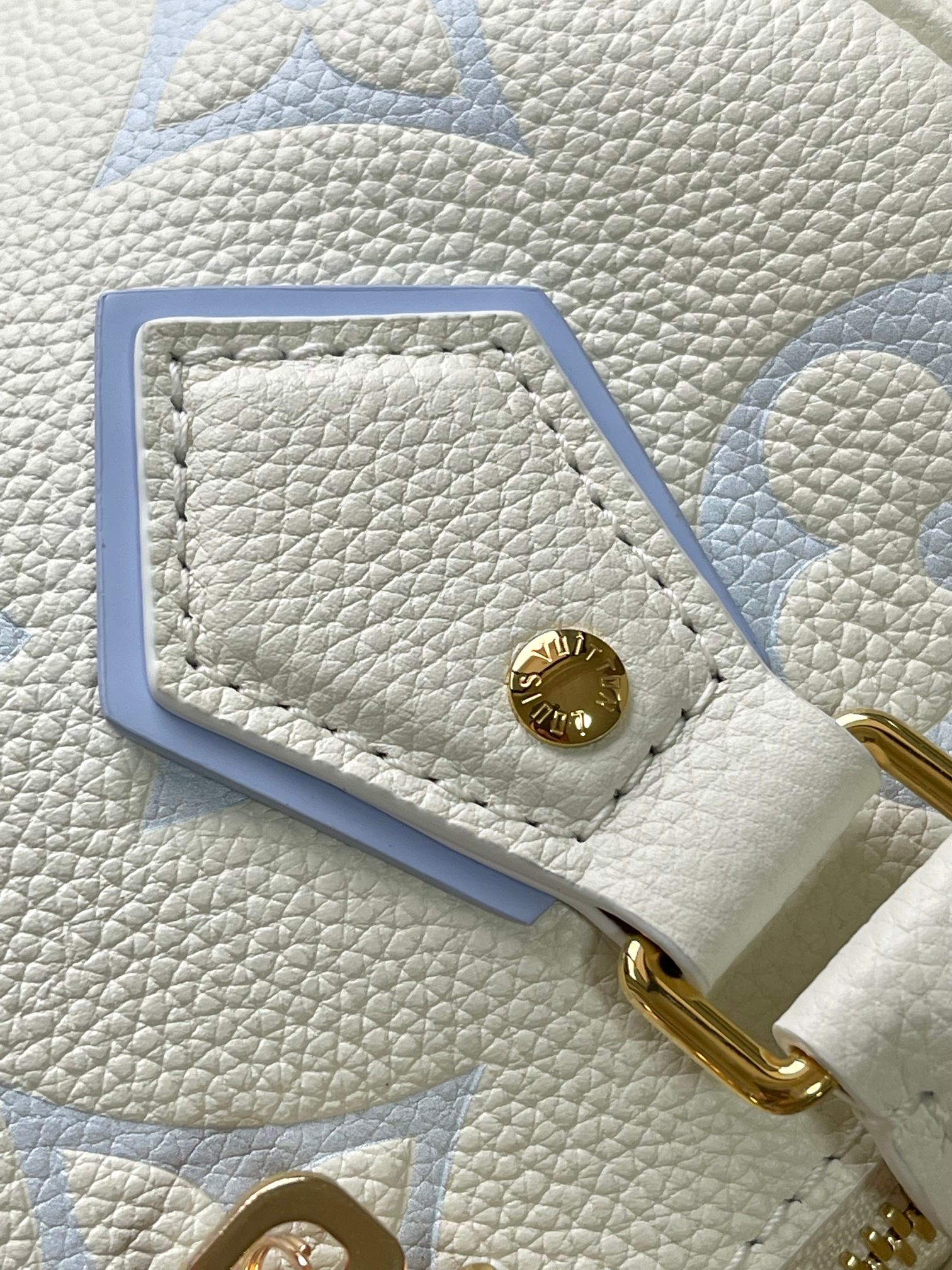 LV Bag