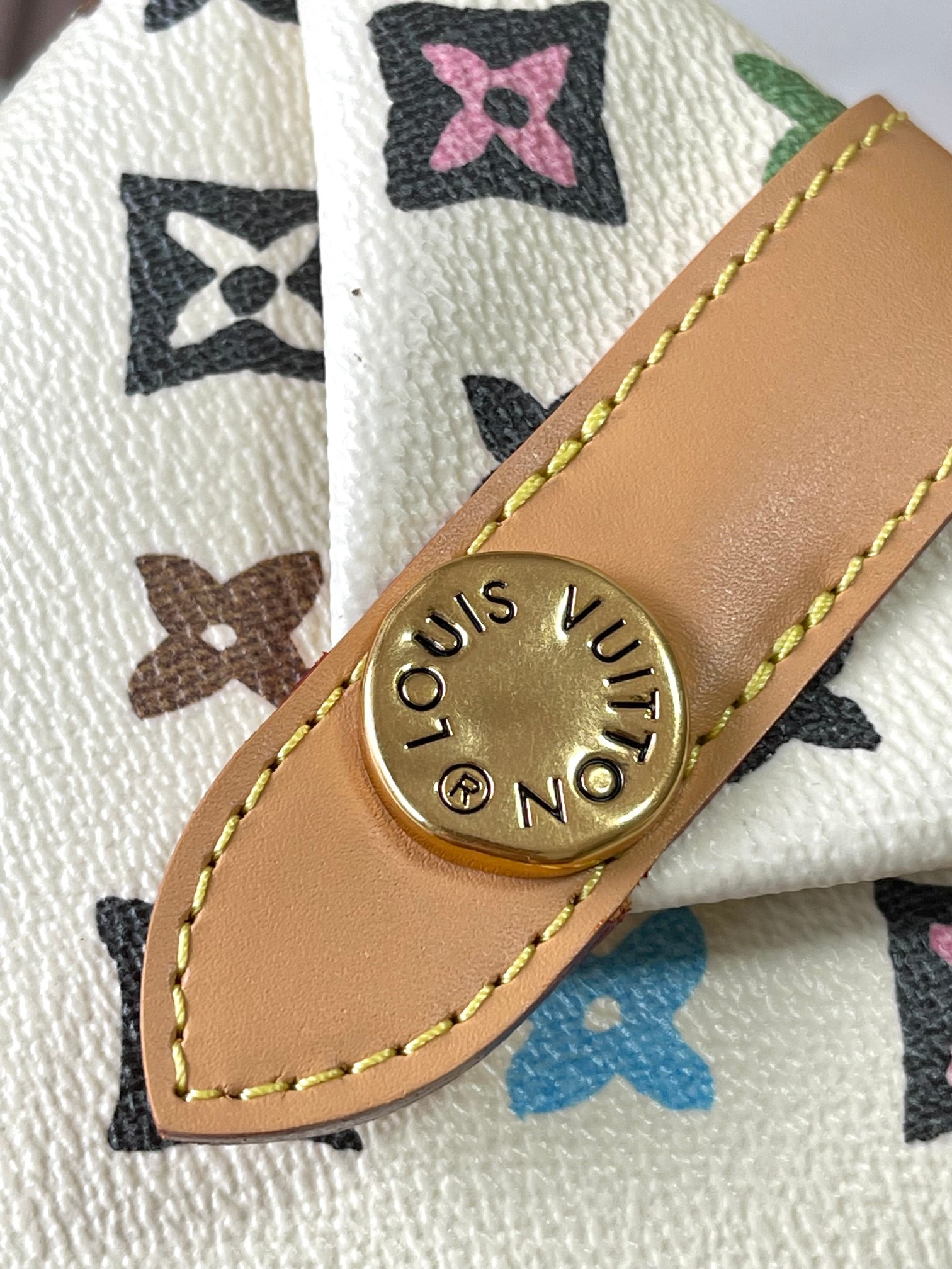 LV Bag