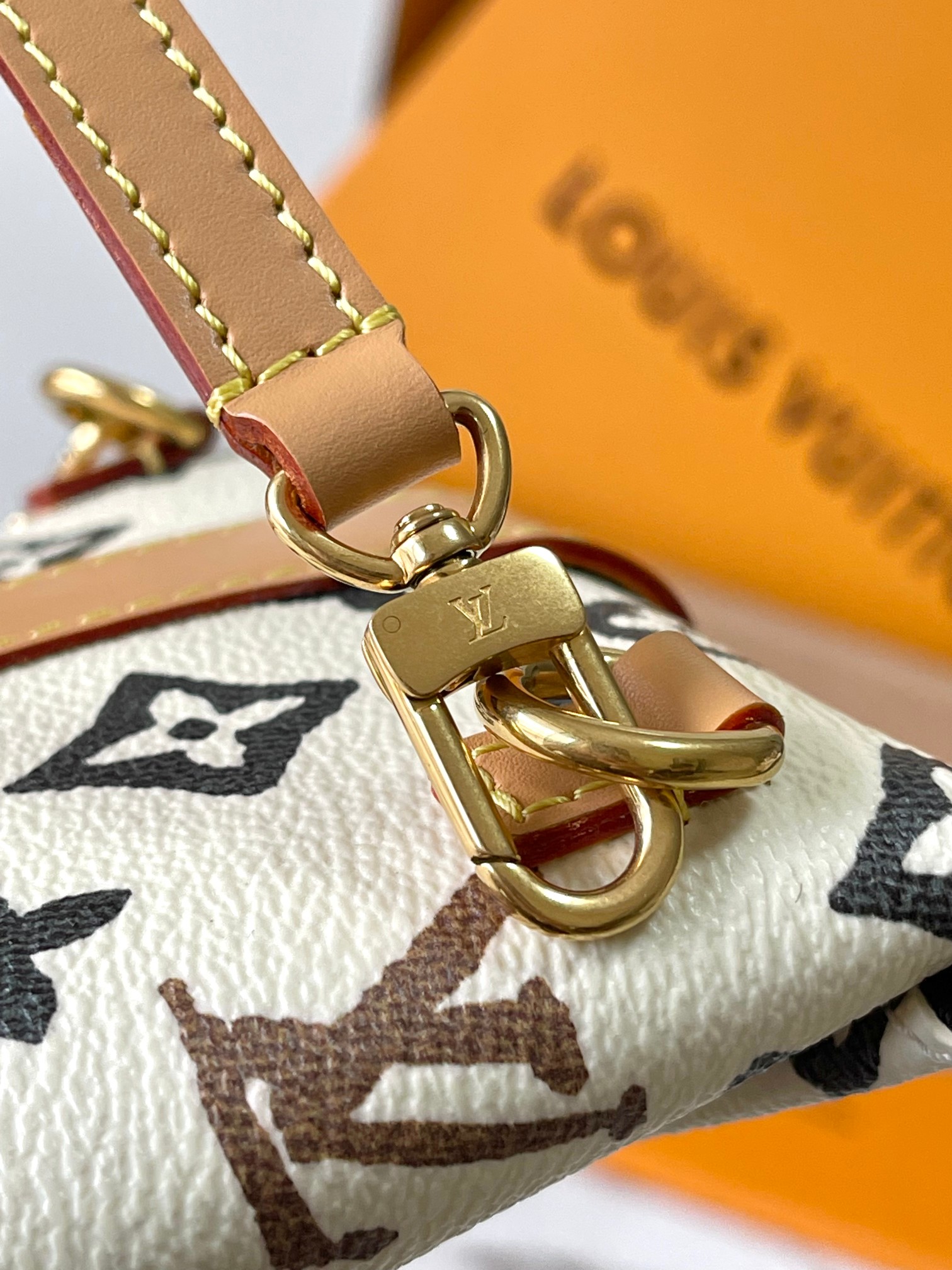 LV Bag