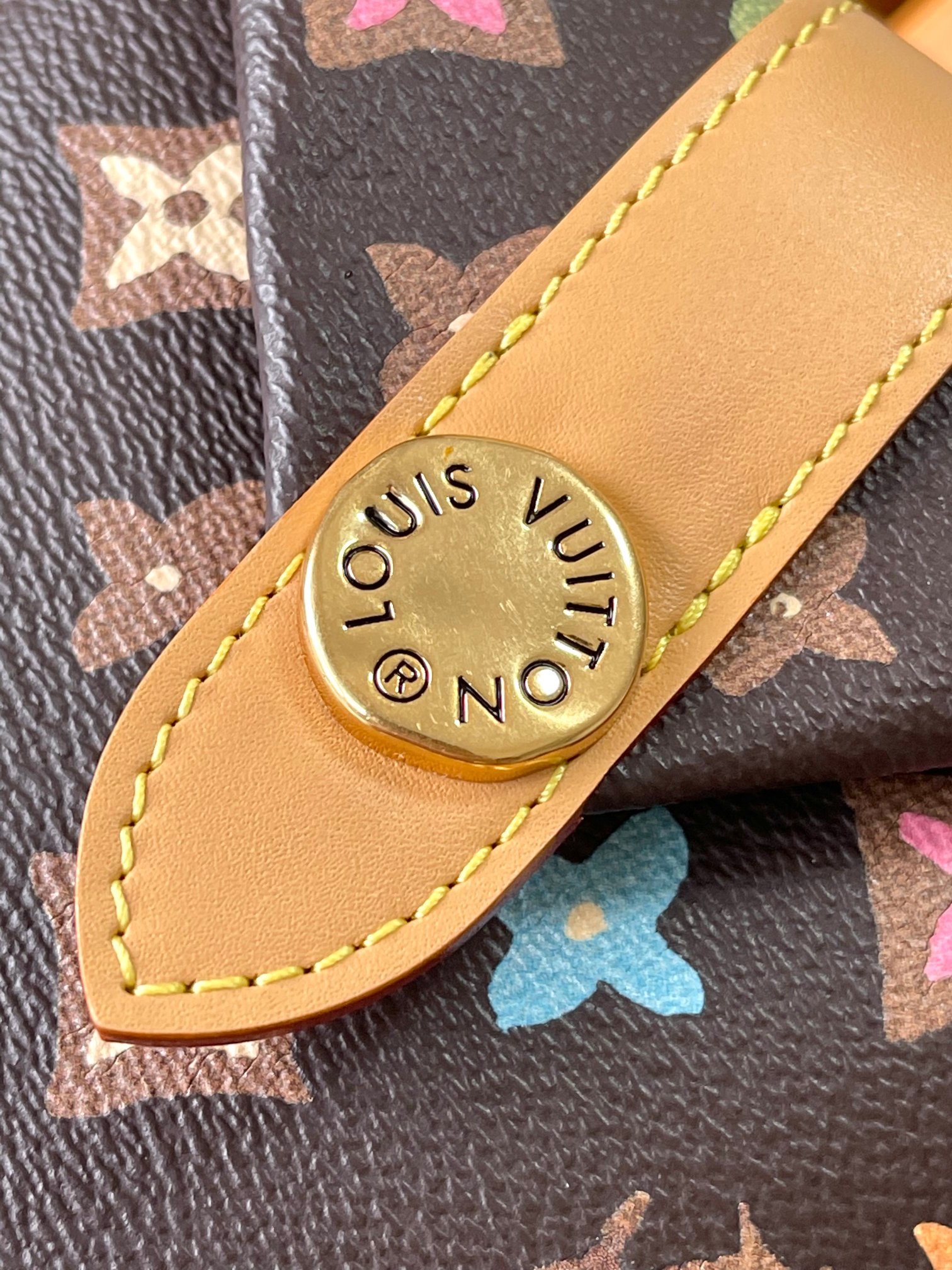 LV Bag