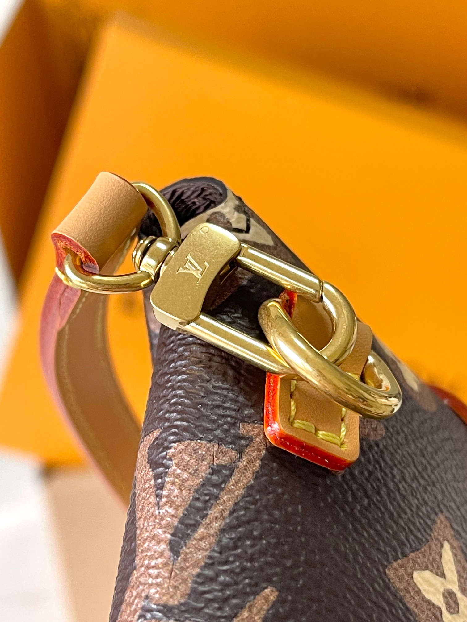 LV Bag