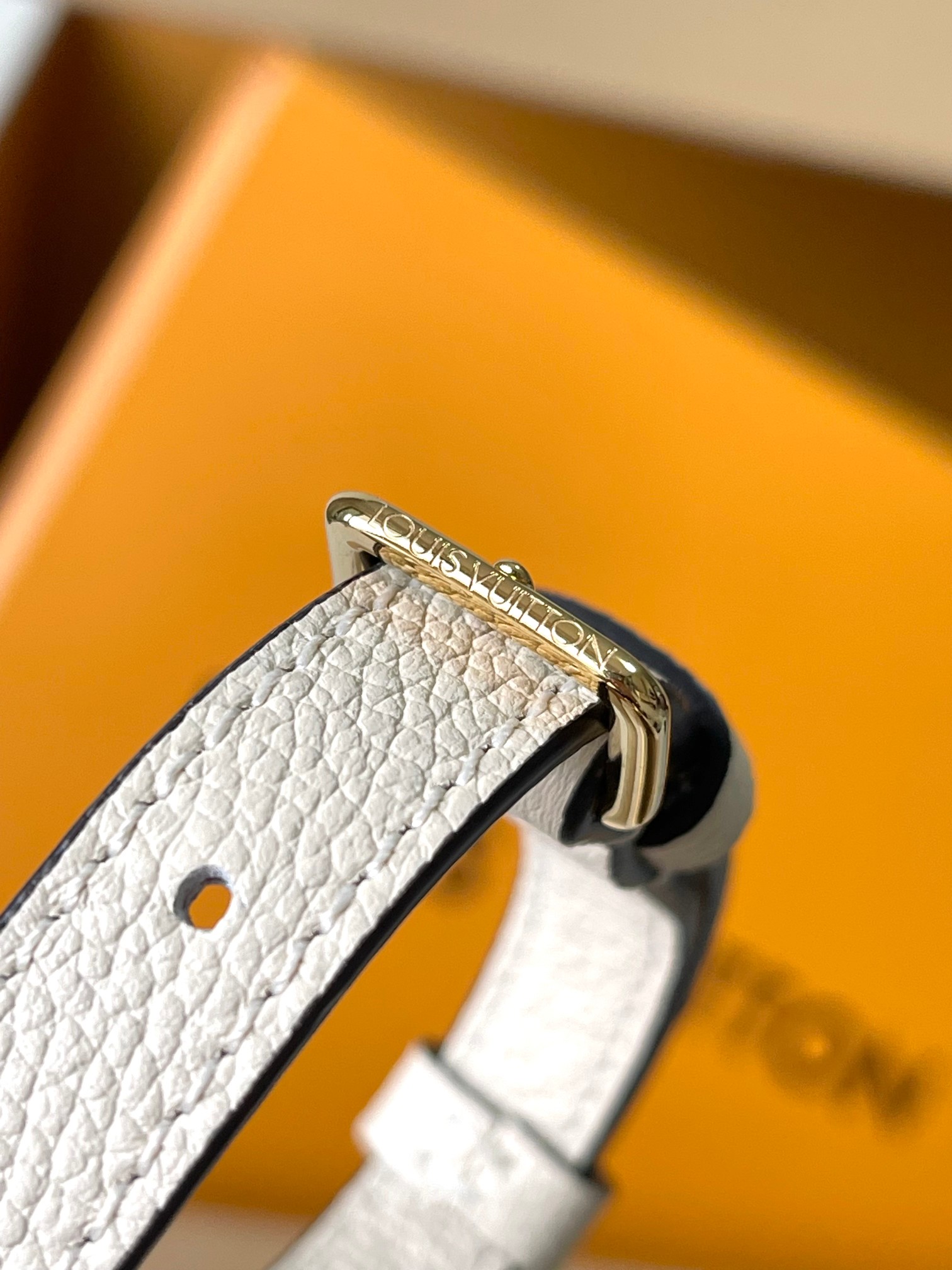 LV Bag