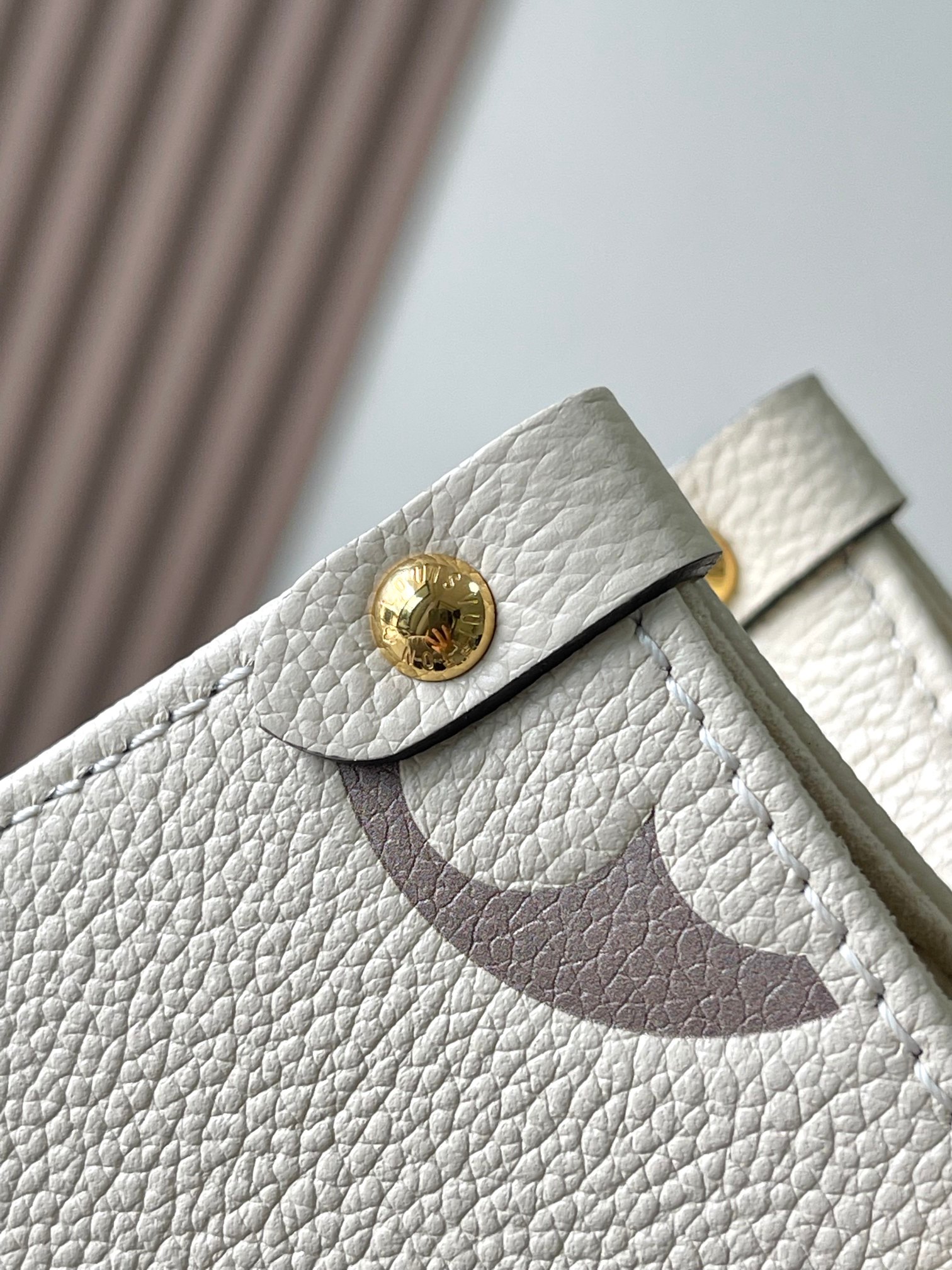LV Bag