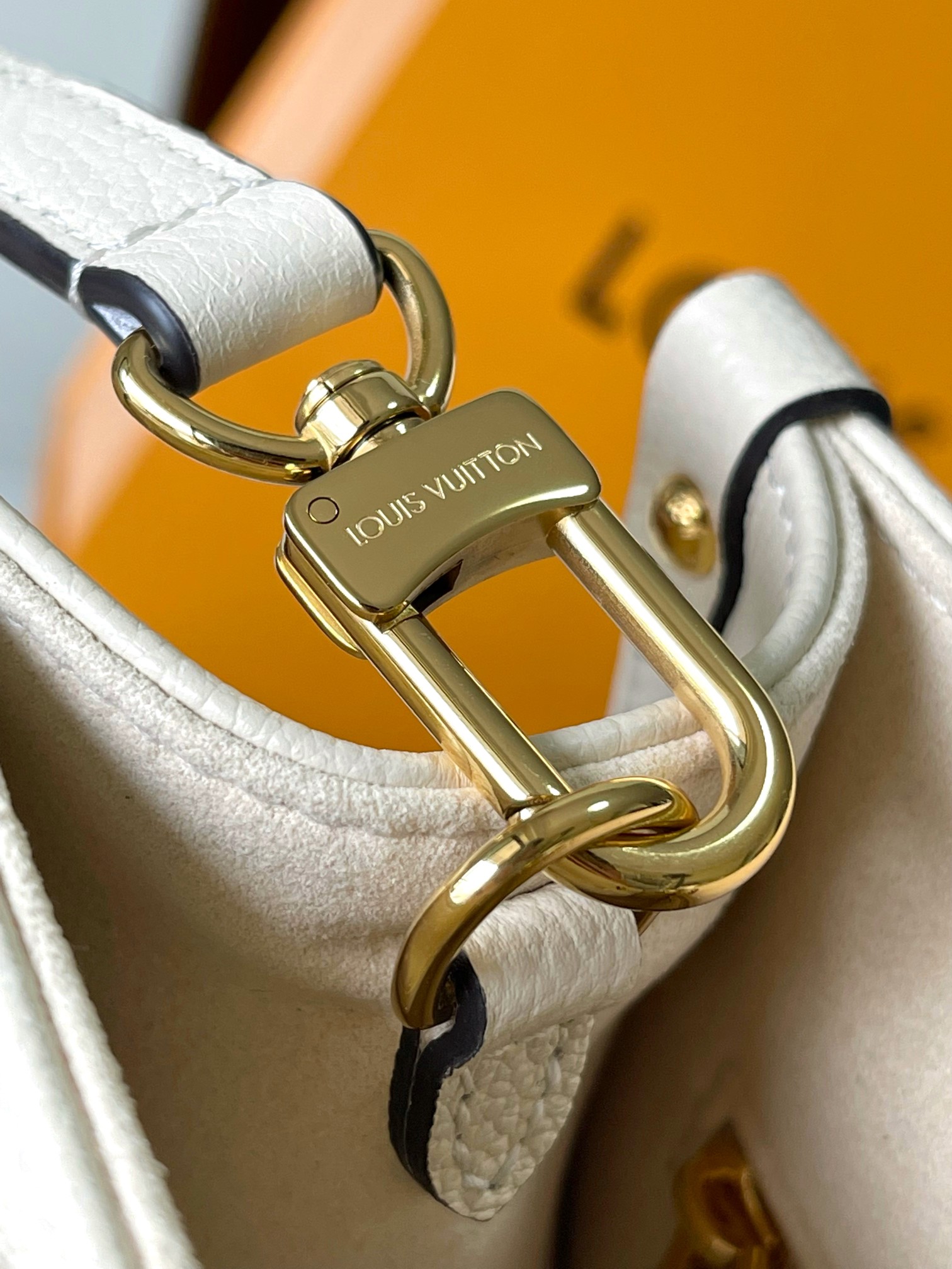 LV Bag