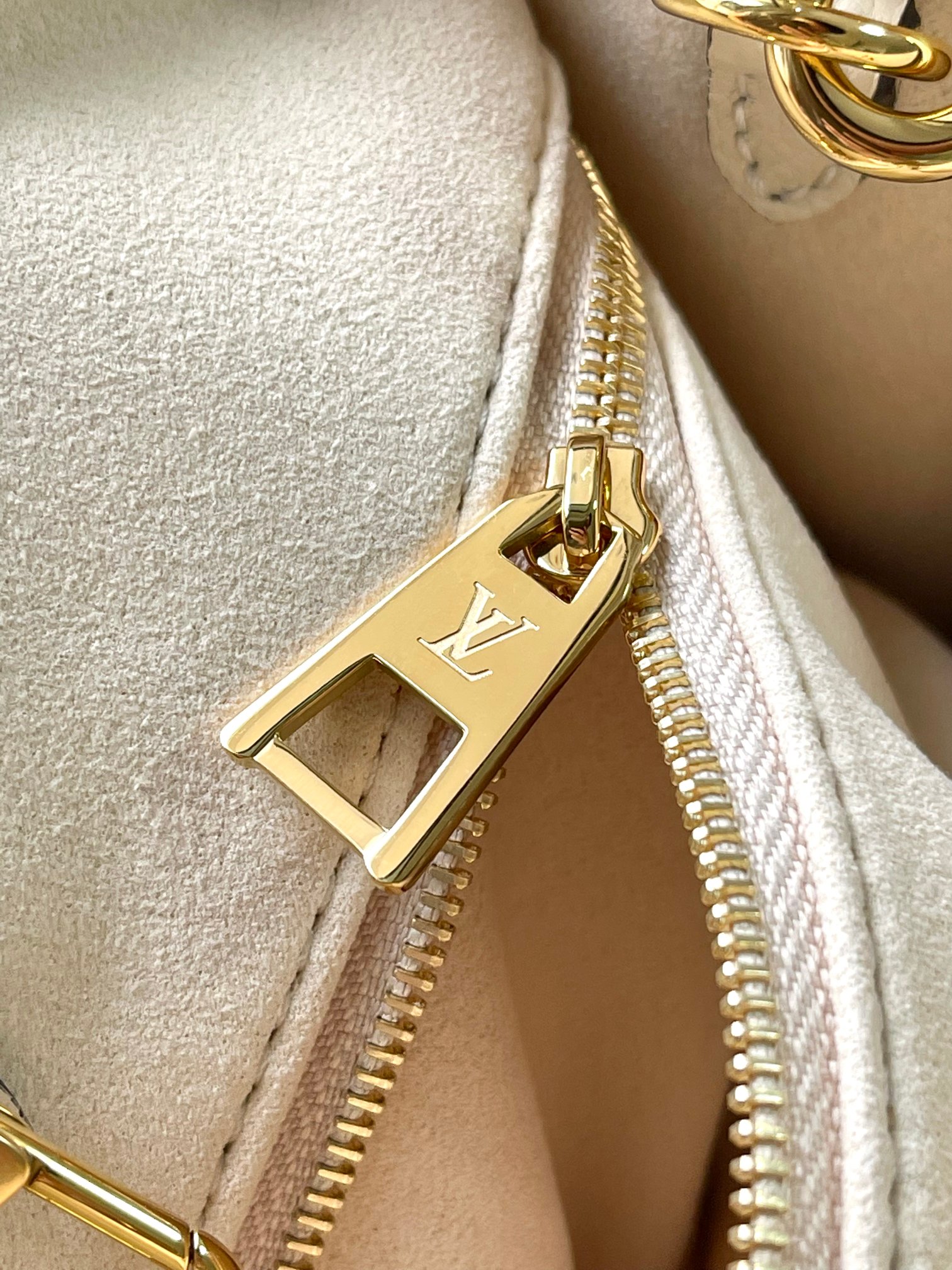 LV Bag