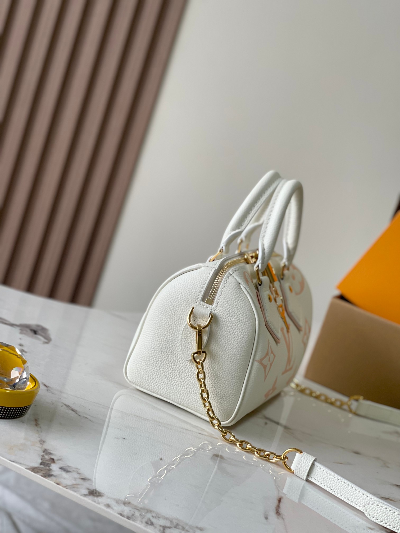 LV Bag