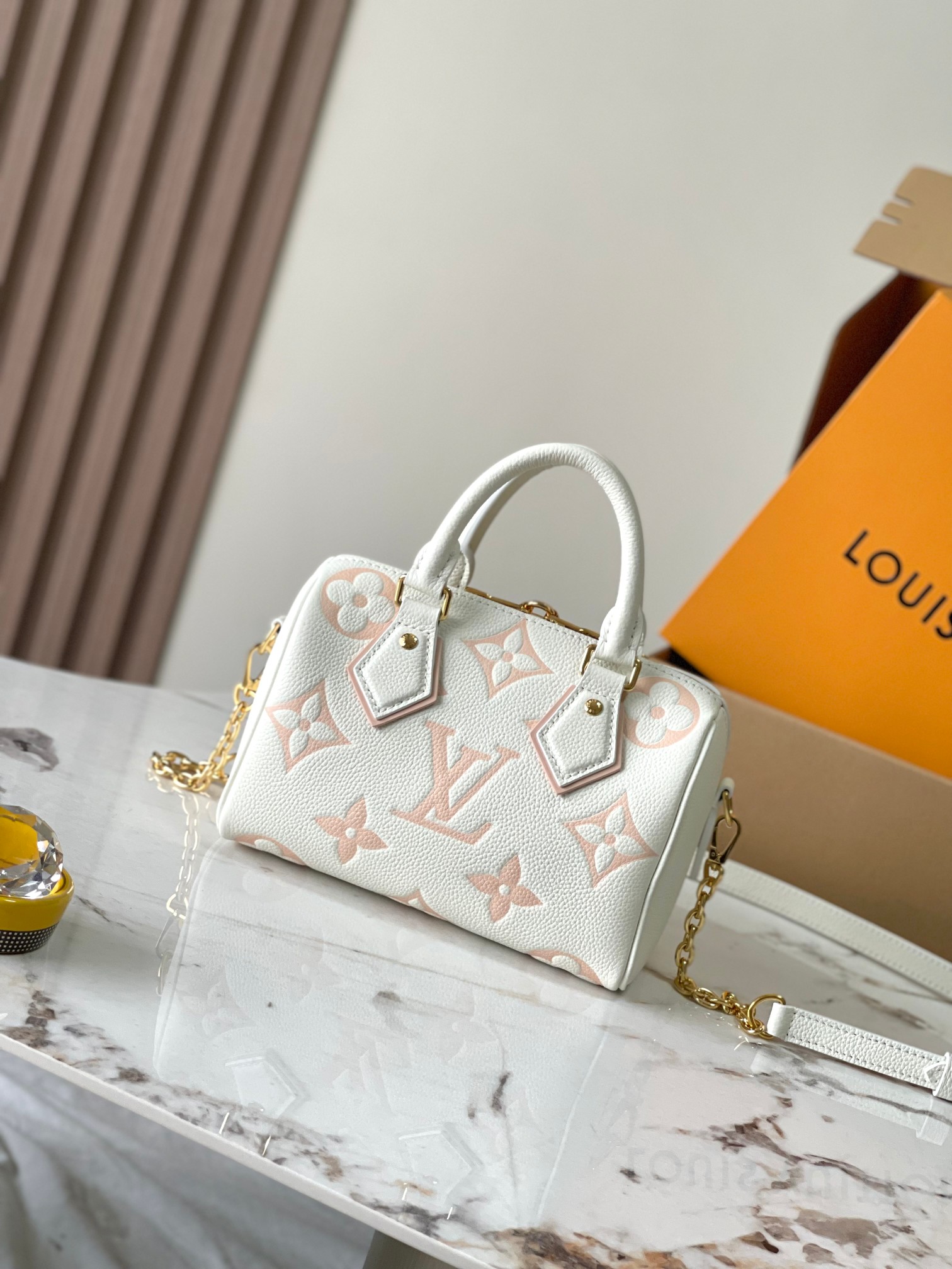 LV Bag
