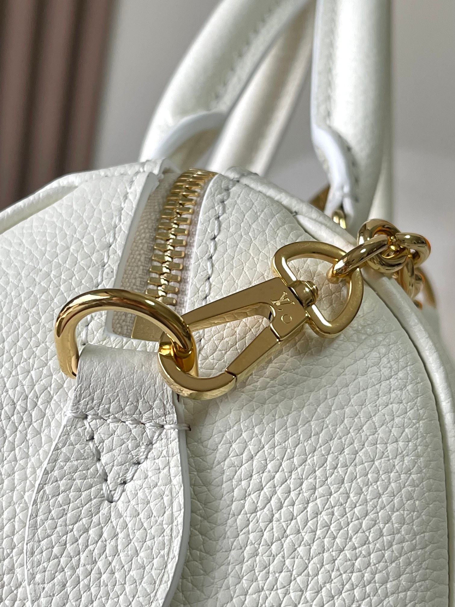 LV Bag