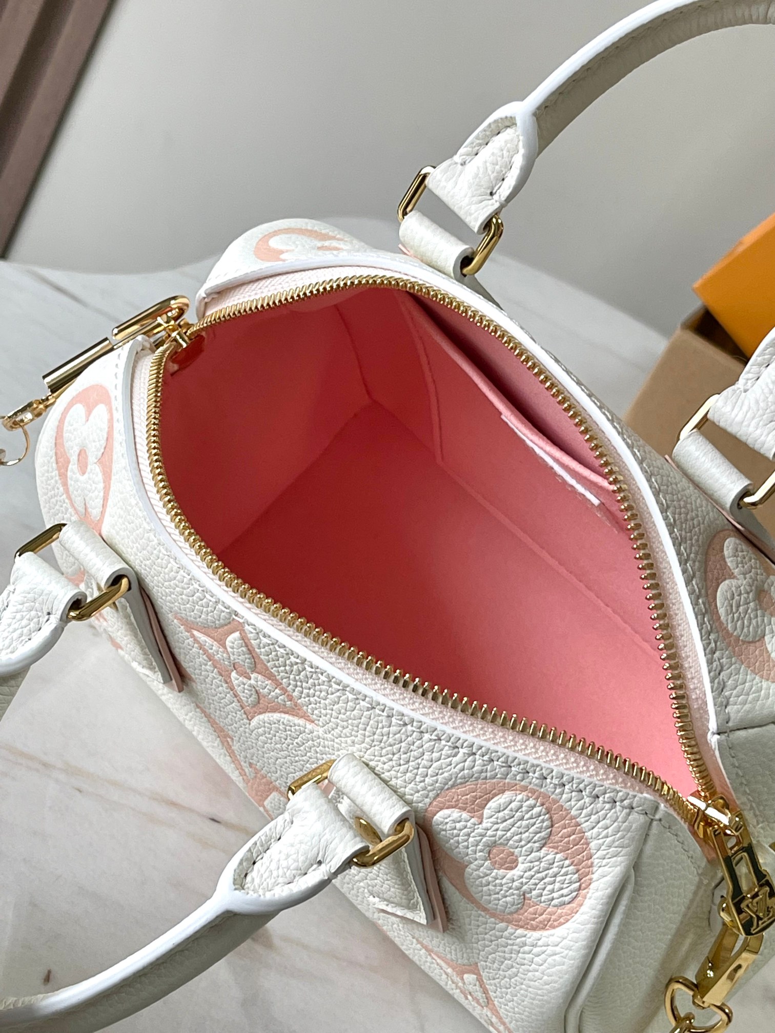 LV Bag