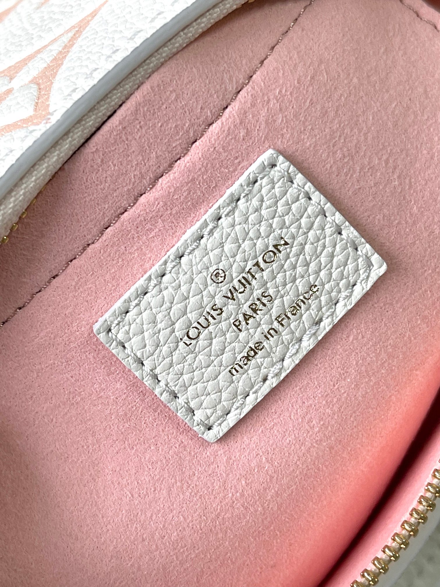 LV Bag