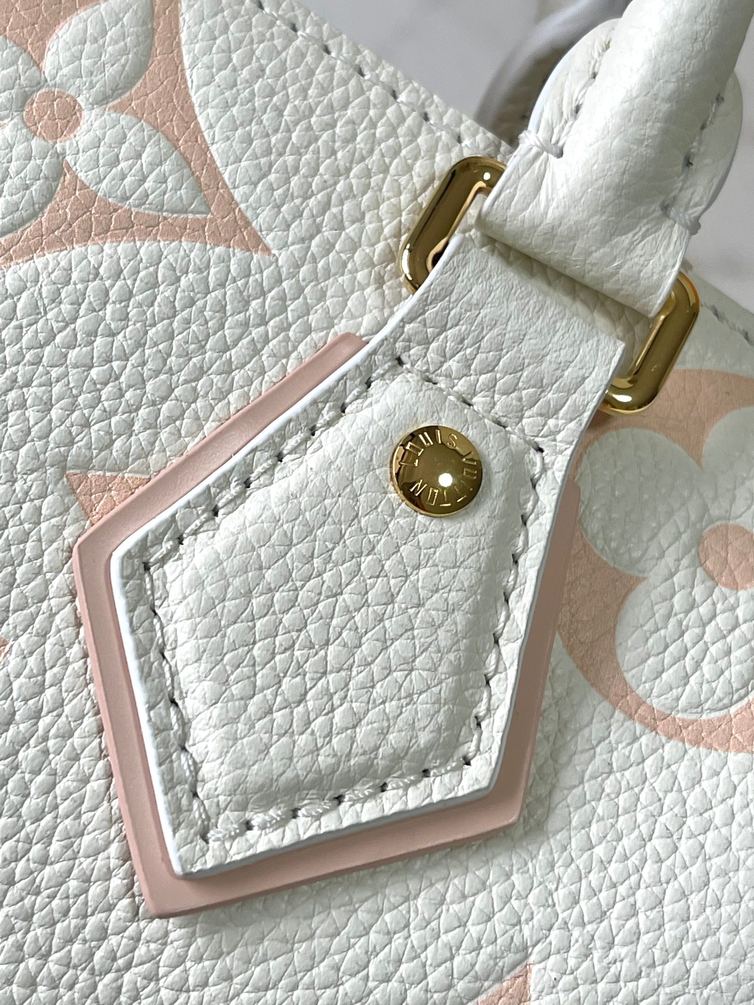 LV Bag