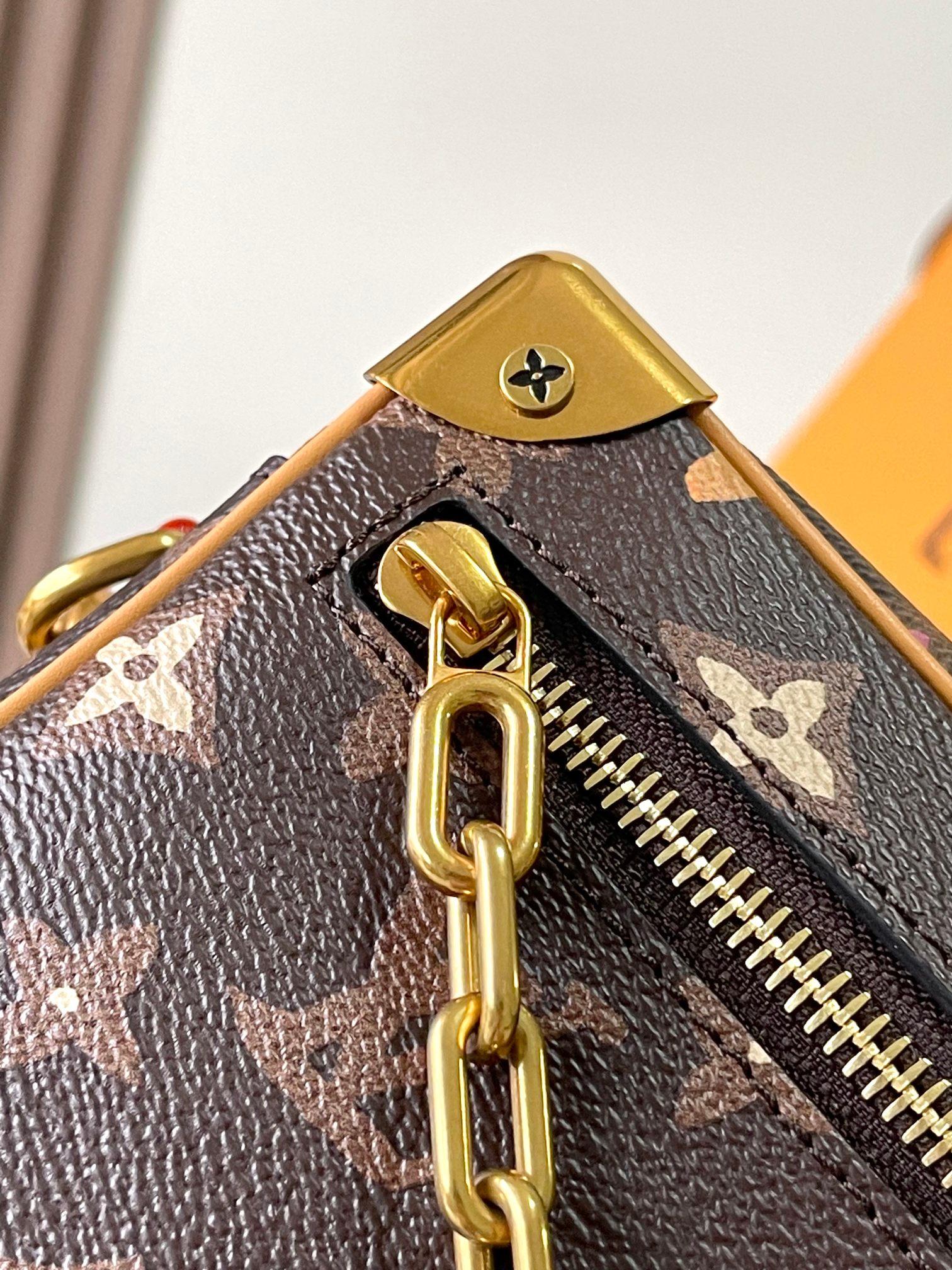 LV Bag