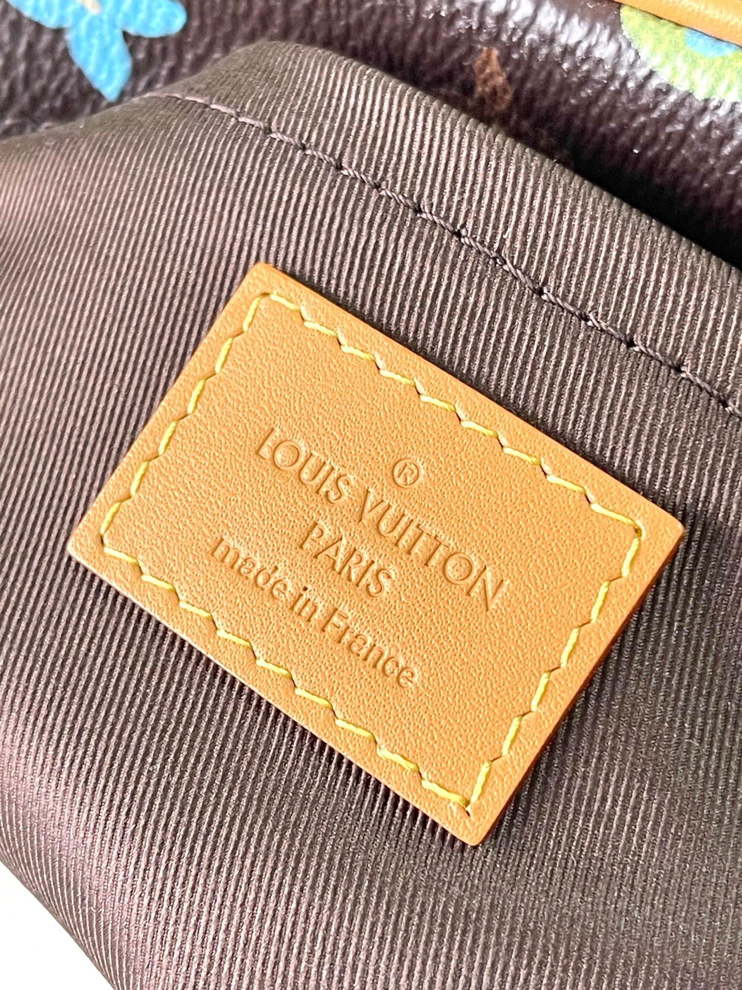 LV Bag