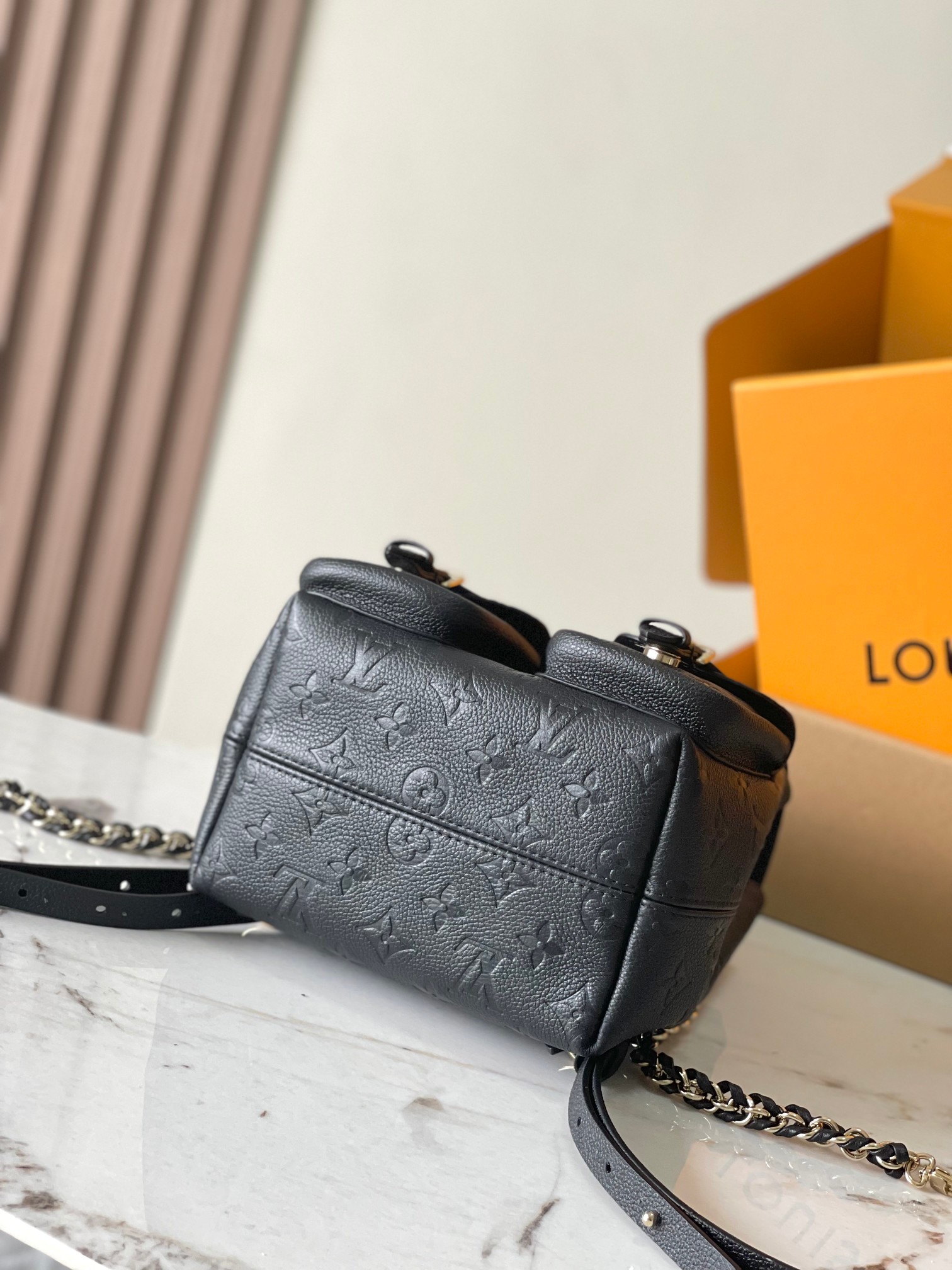 LV Bag