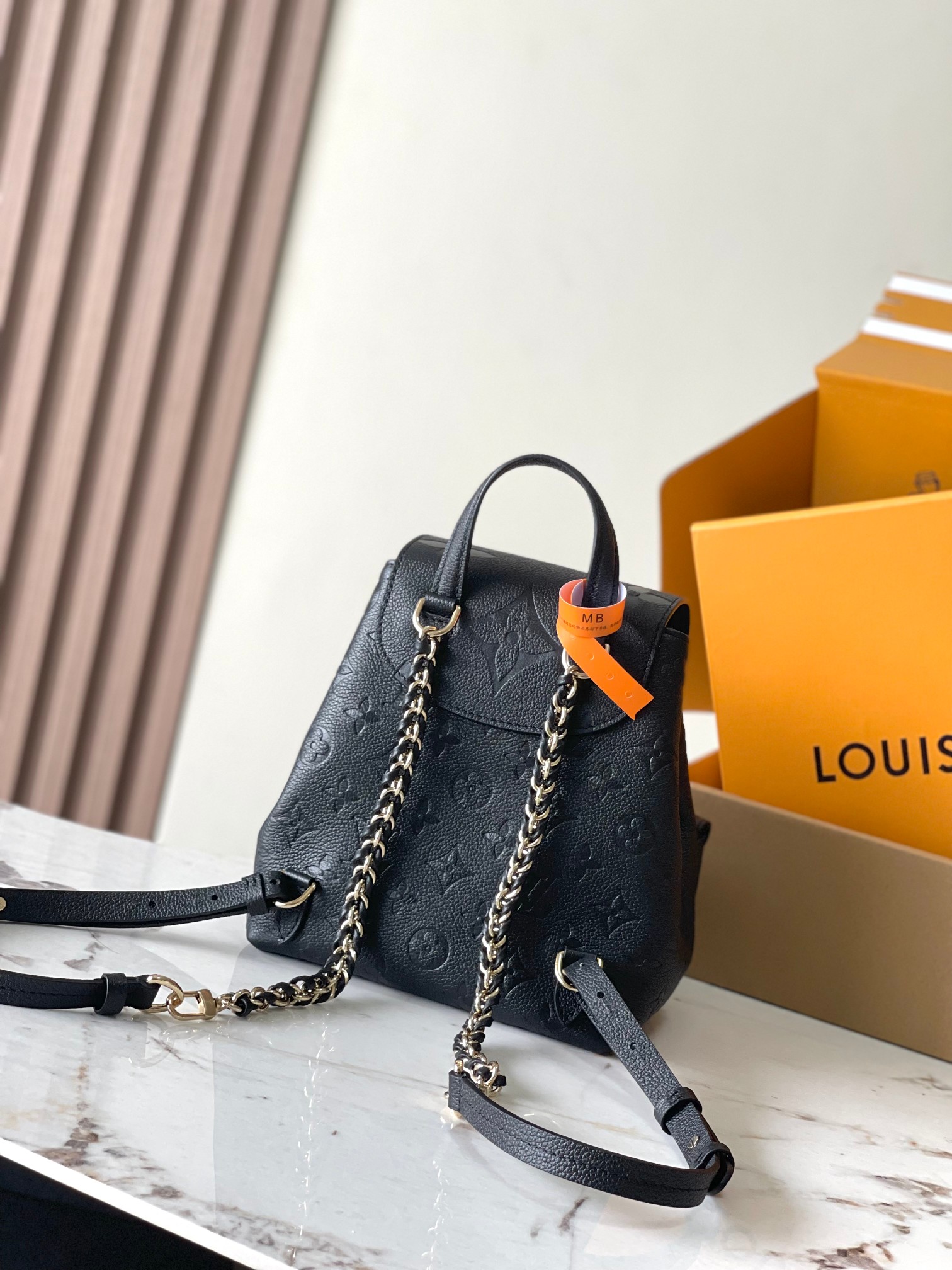 LV Bag