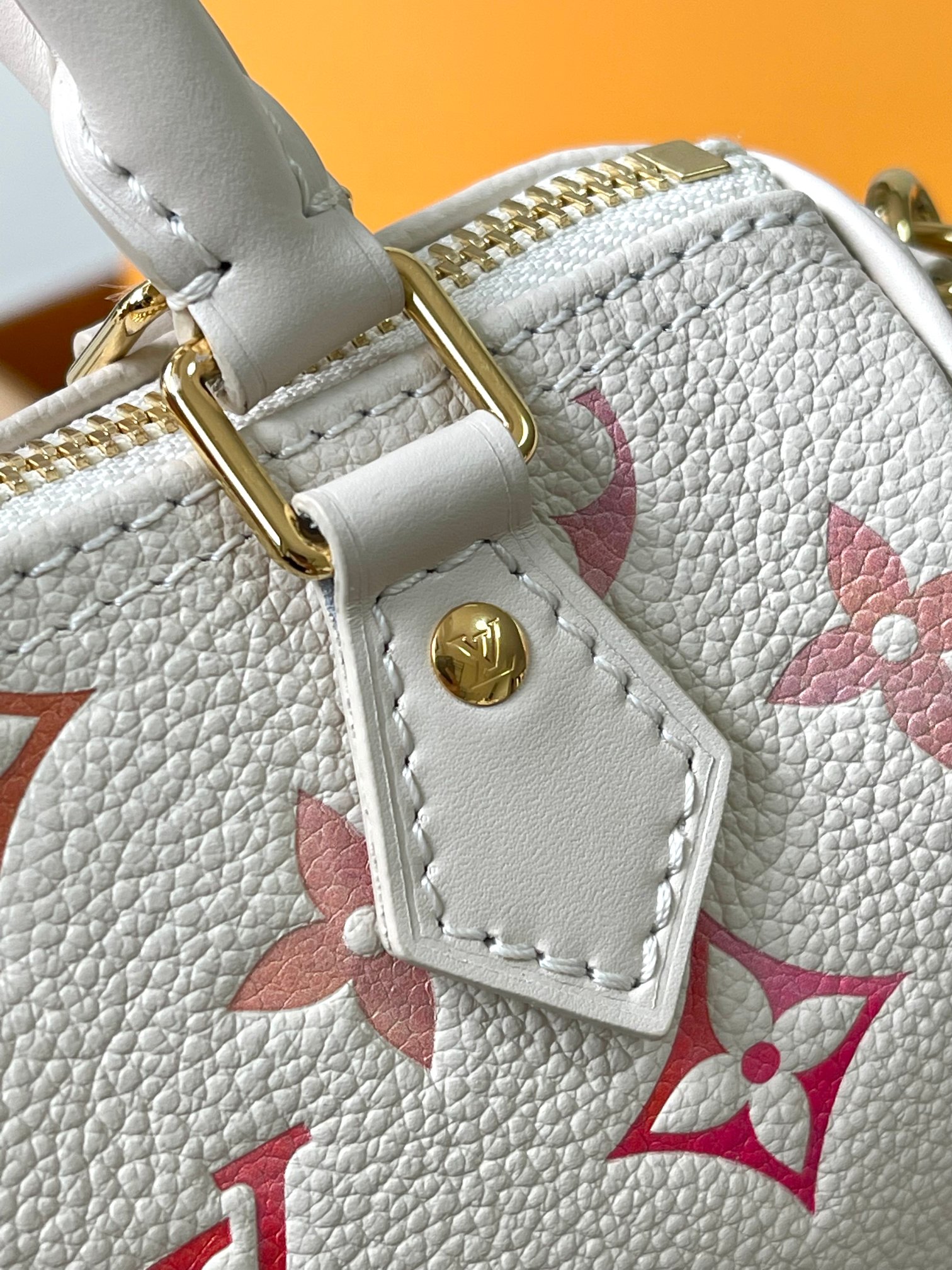 LV Bag