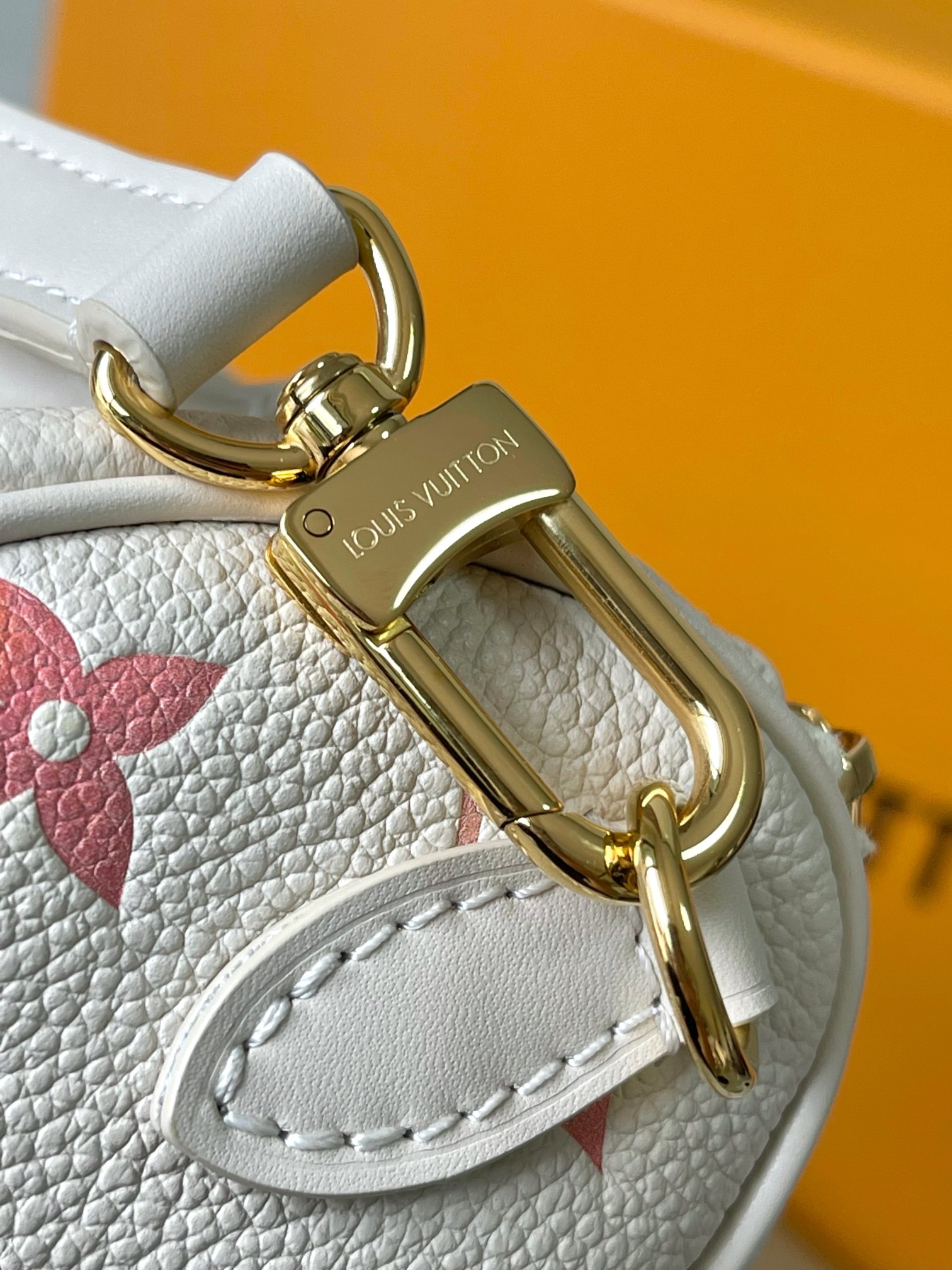 LV Bag