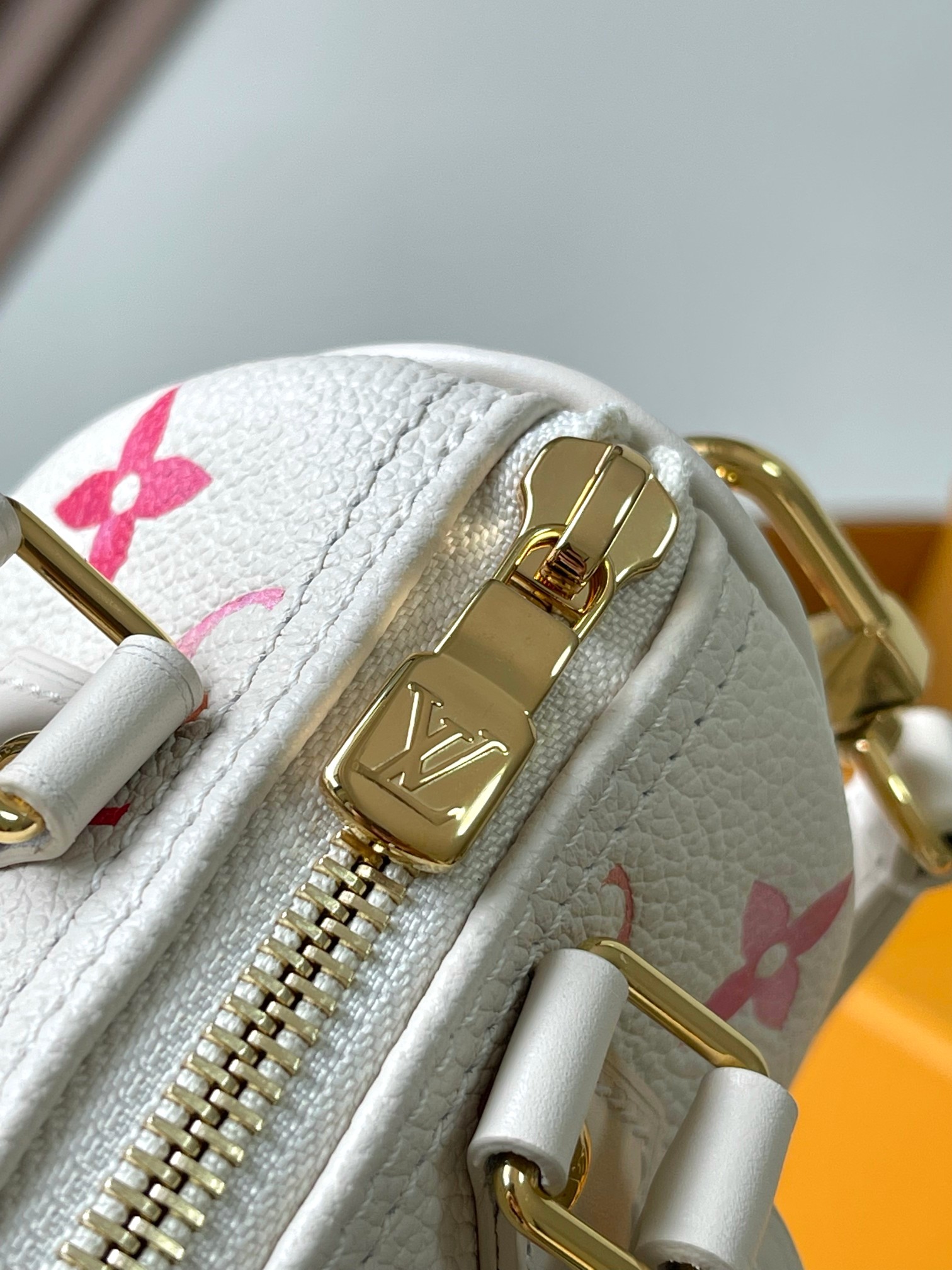 LV Bag
