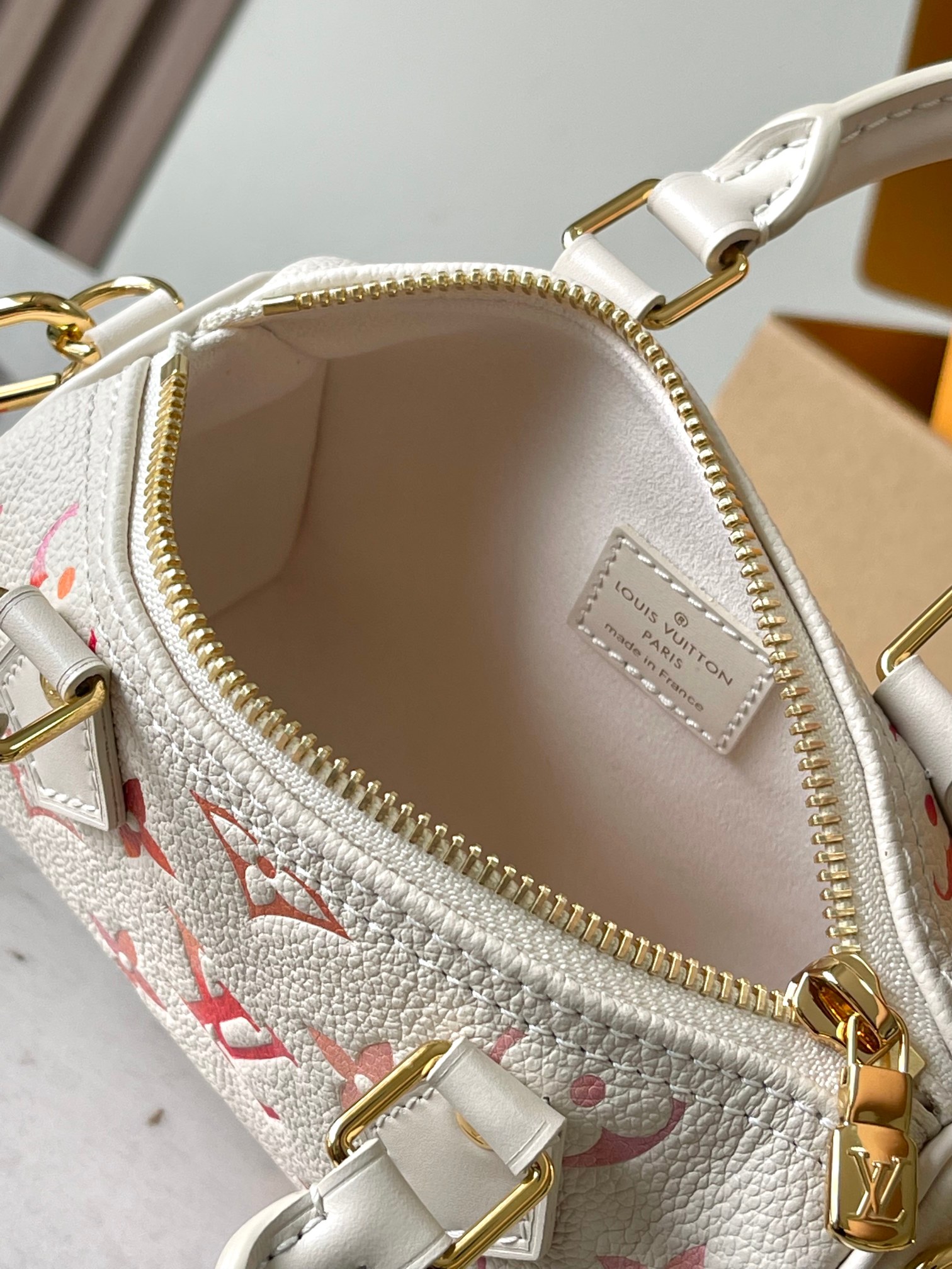 LV Bag