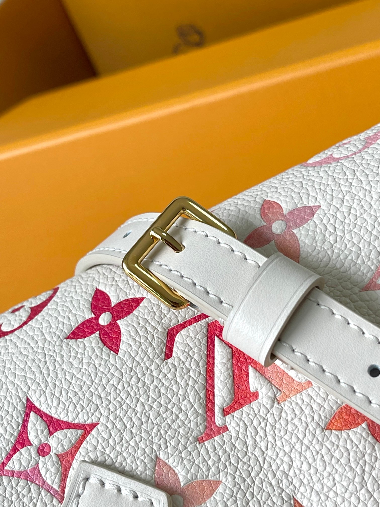 LV Bag