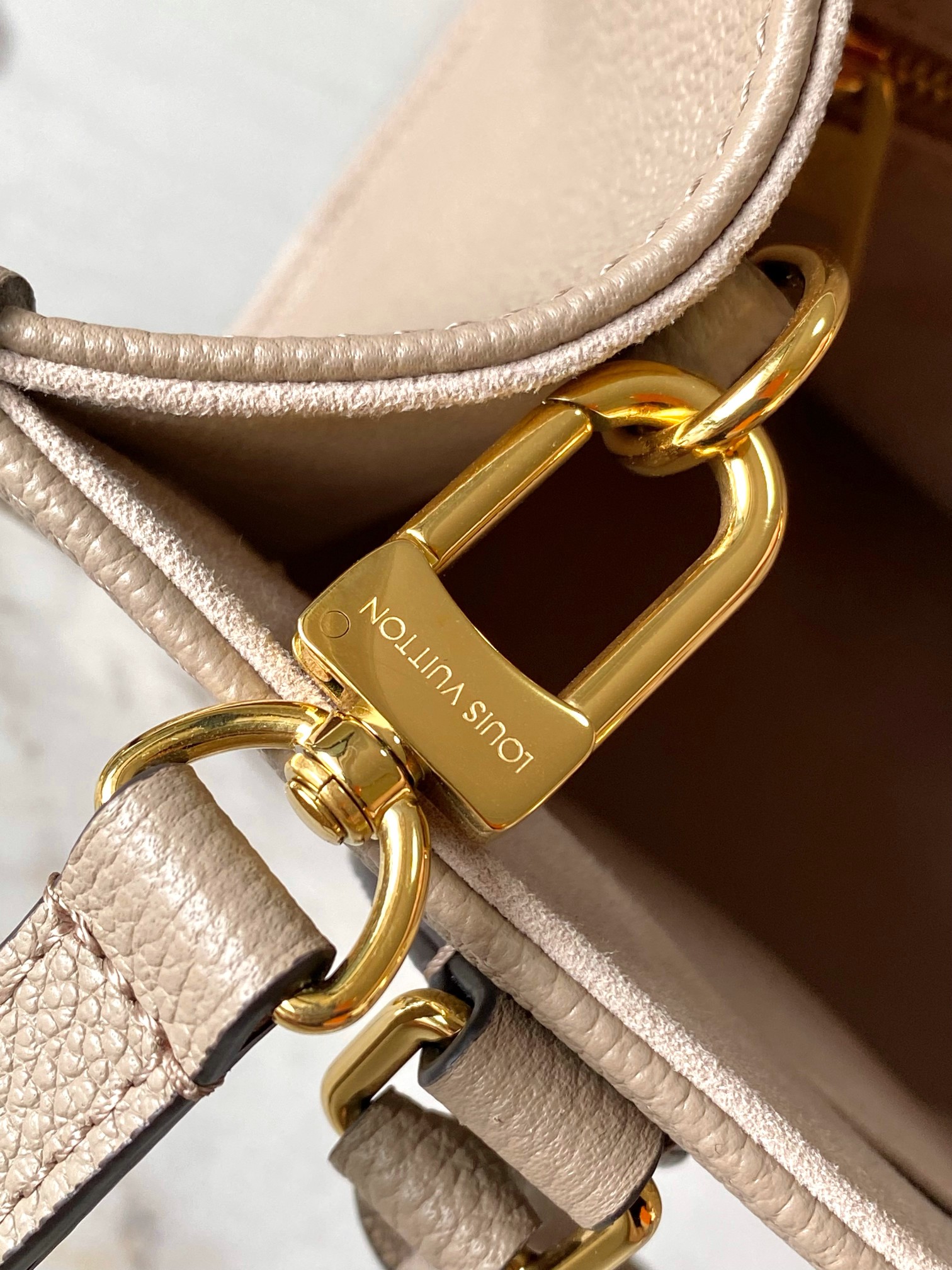 LV Bag