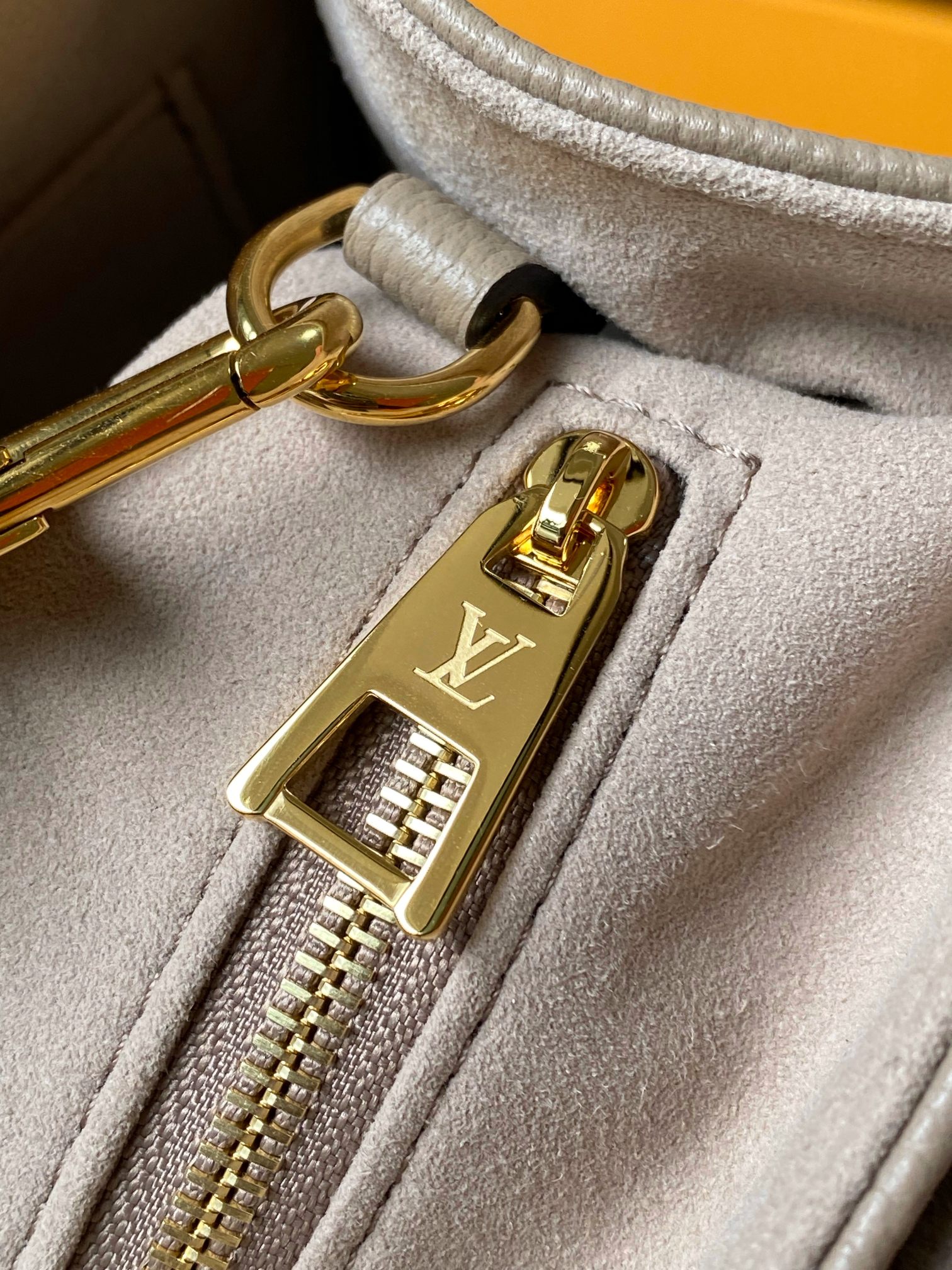 LV Bag