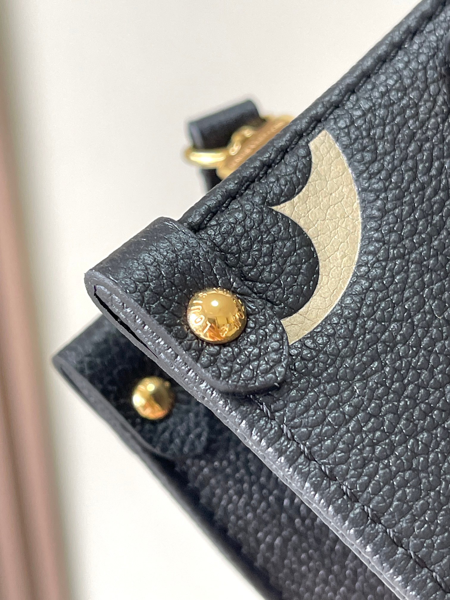 LV Bag