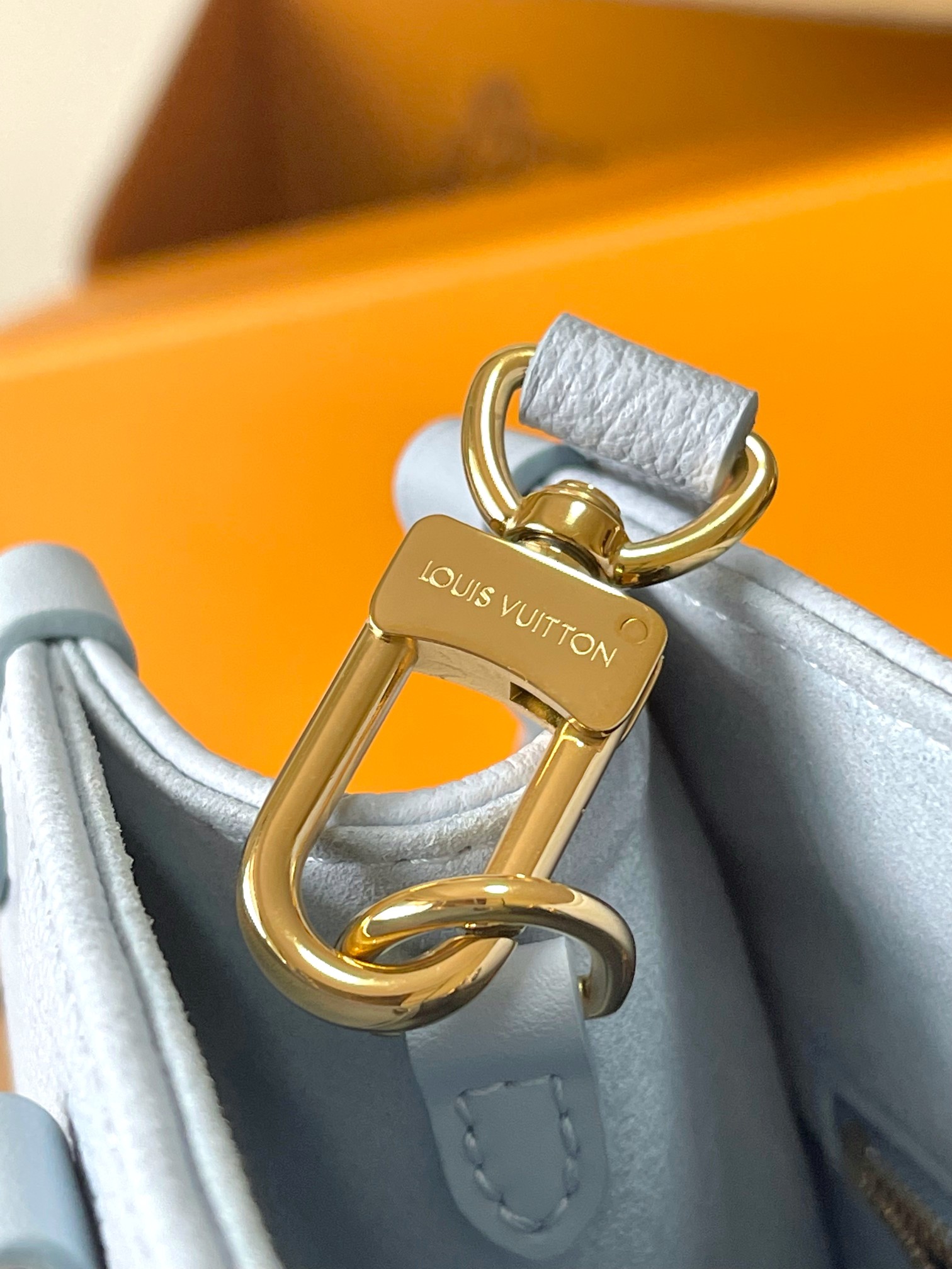 LV Bag