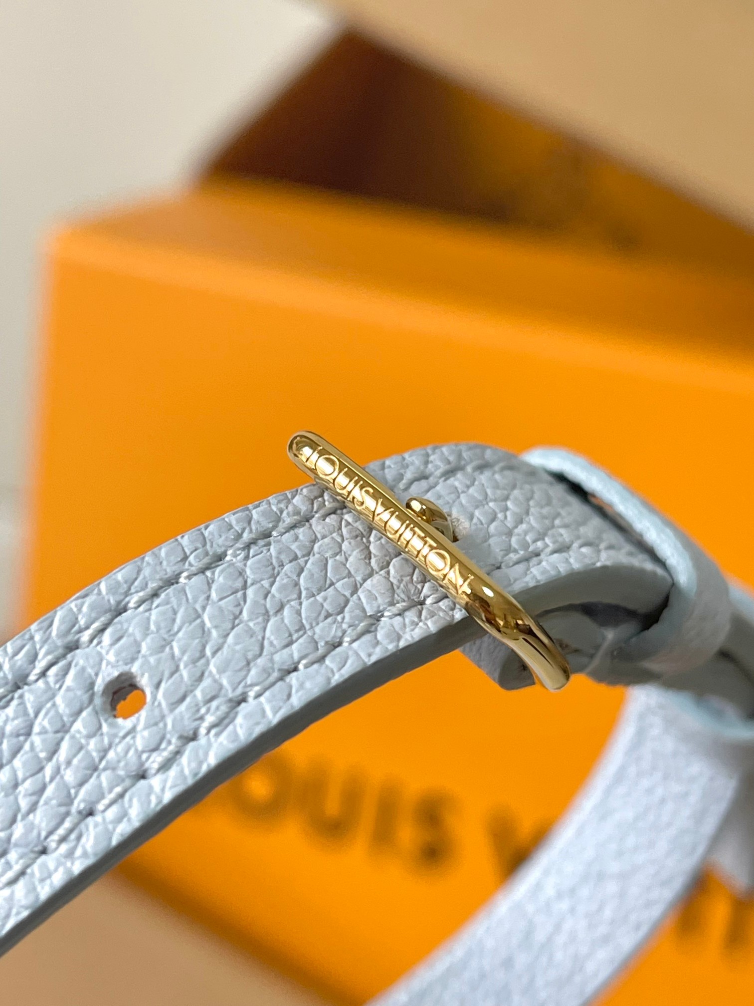 LV Bag