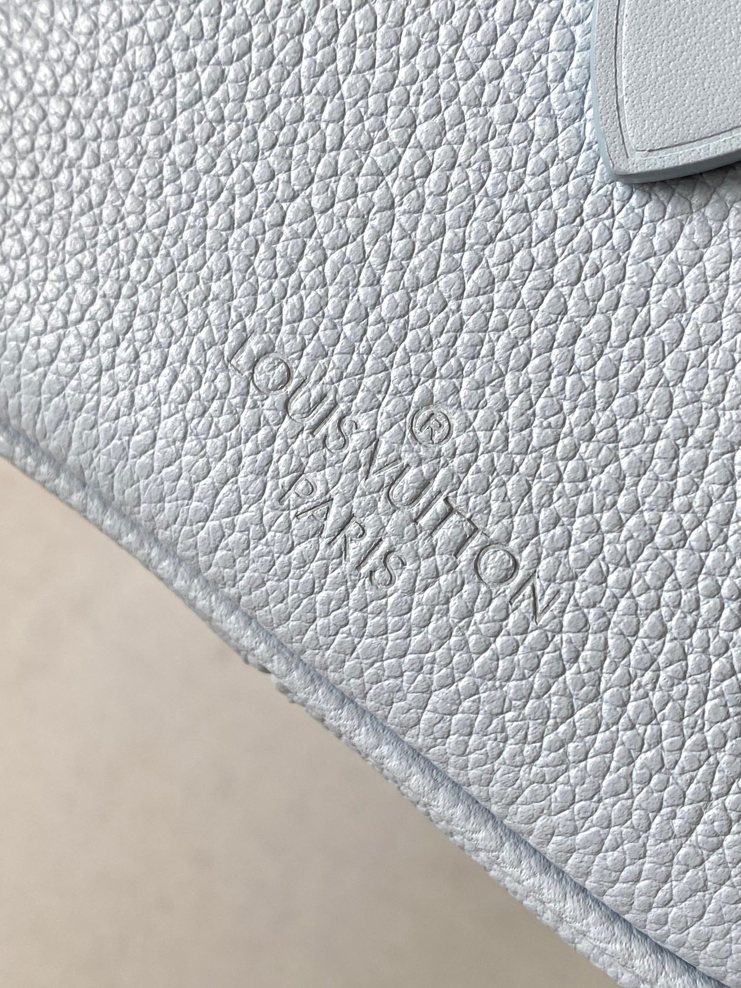 LV Bag