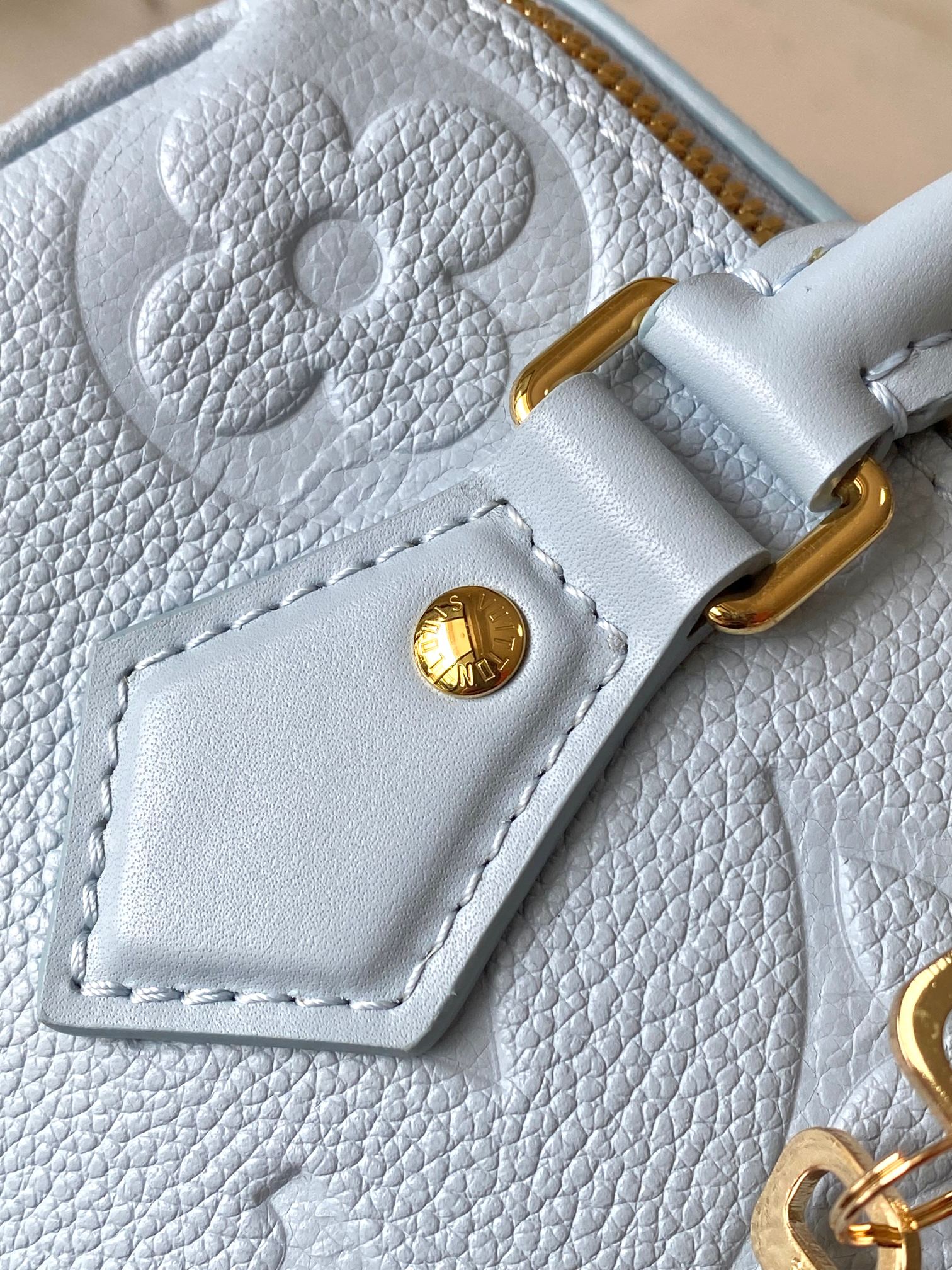 LV Bag
