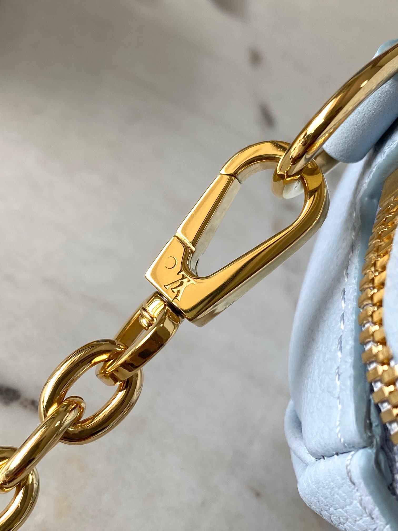 LV Bag