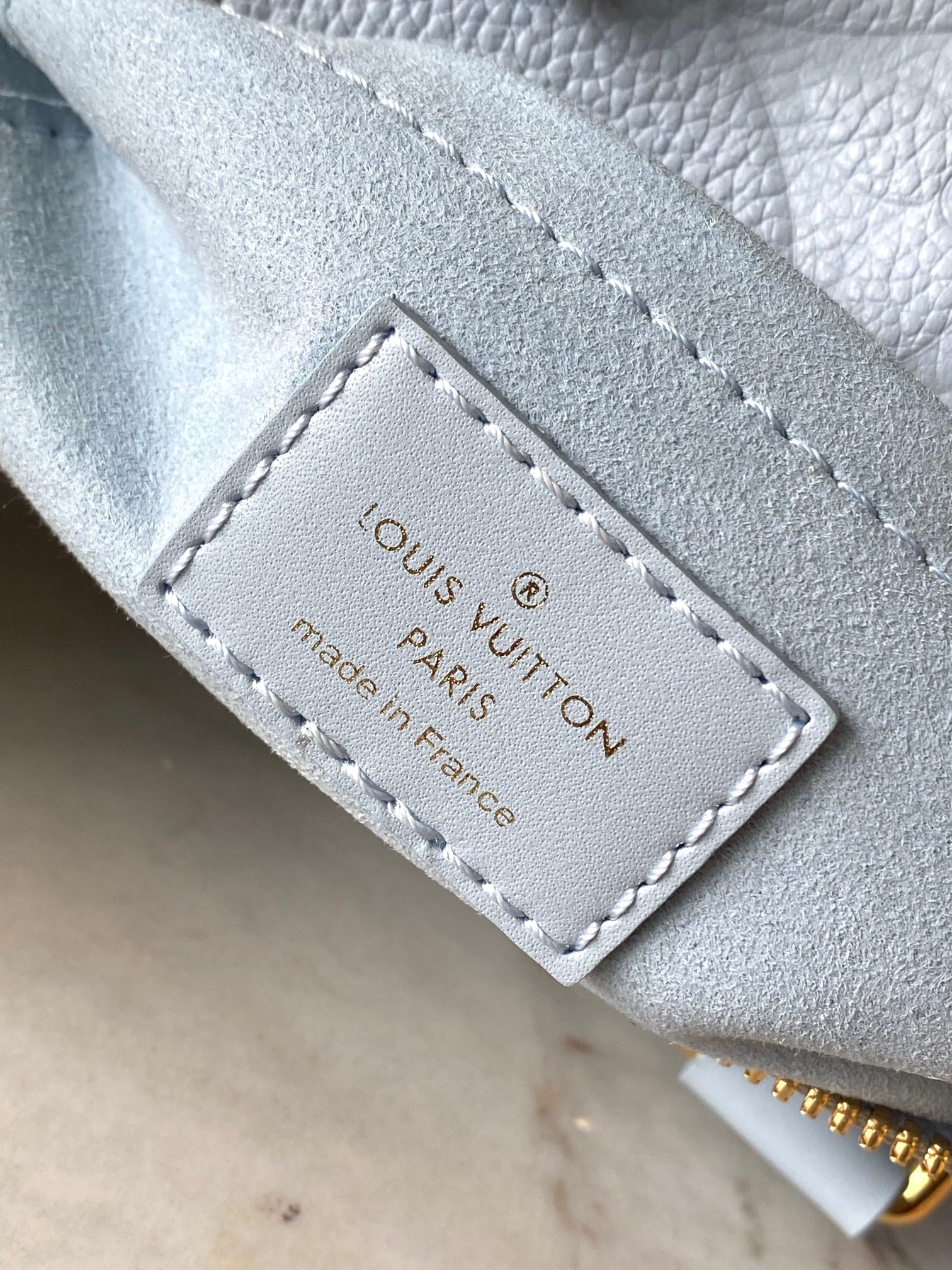 LV Bag