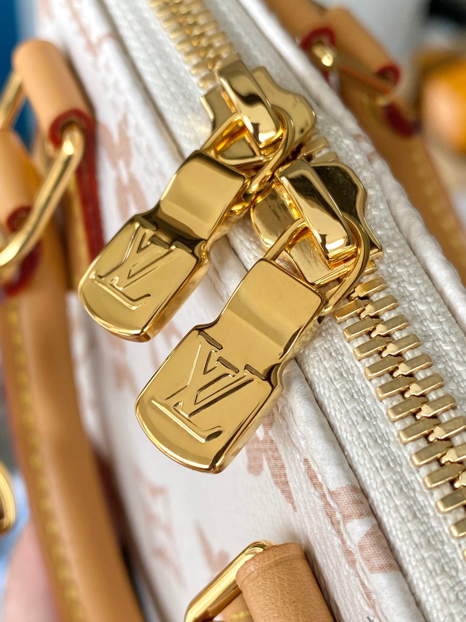 LV Bag
