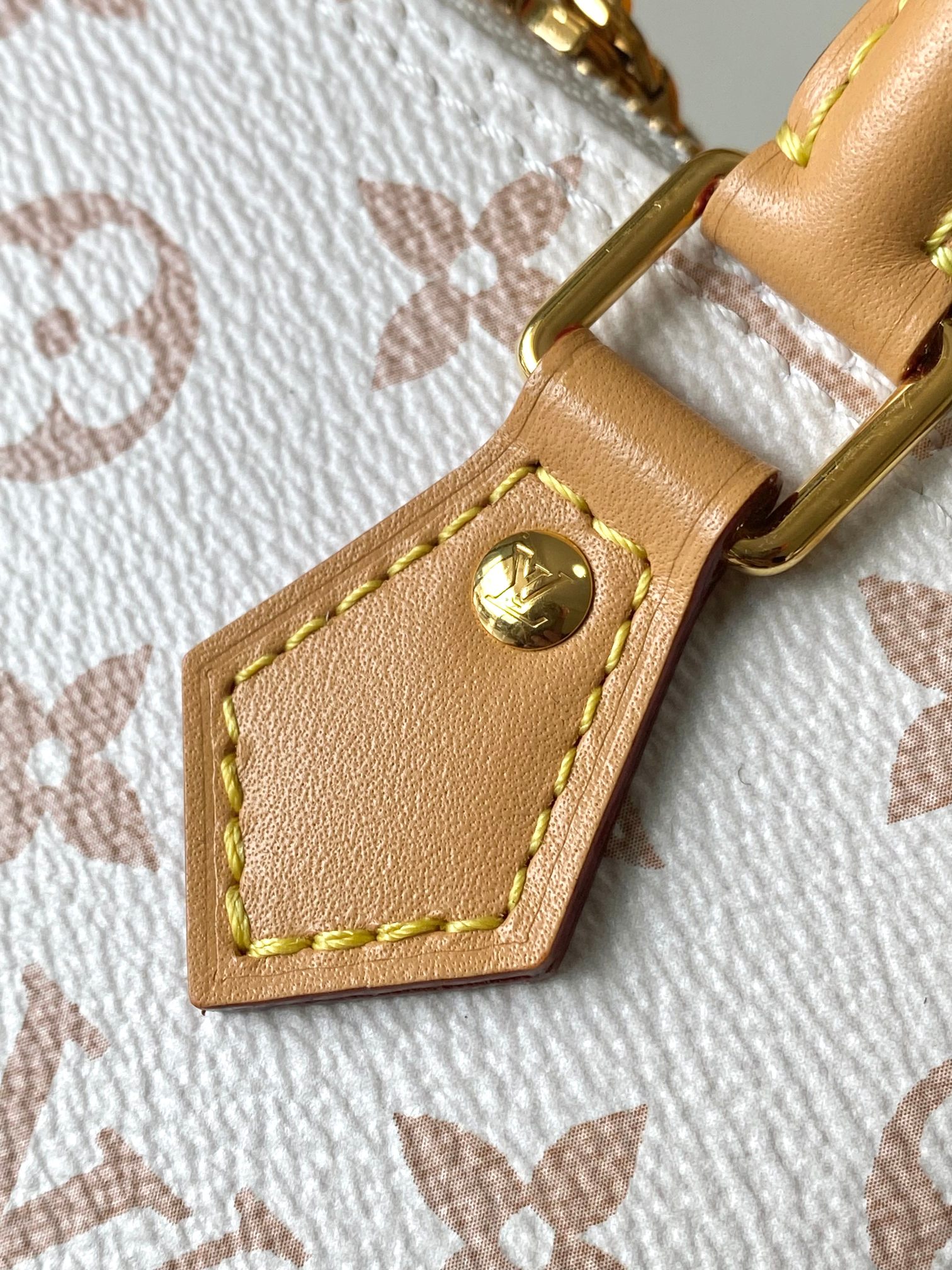LV Bag