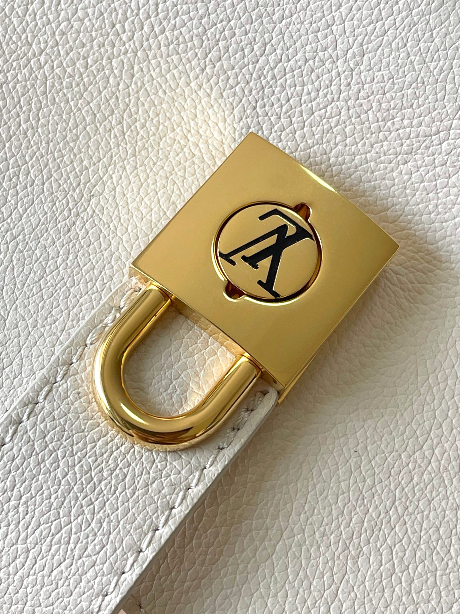 LV Bag