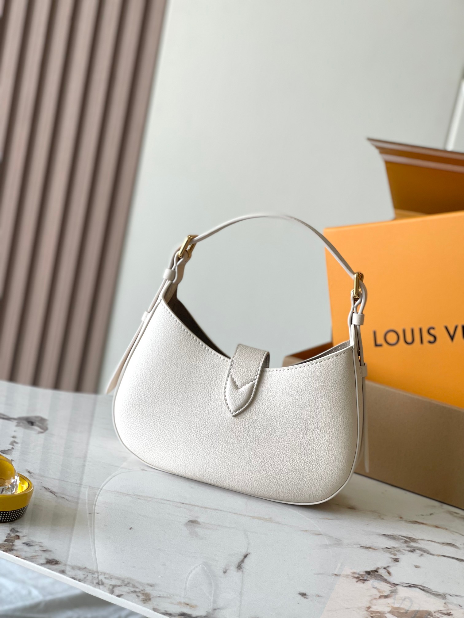 LV Bag