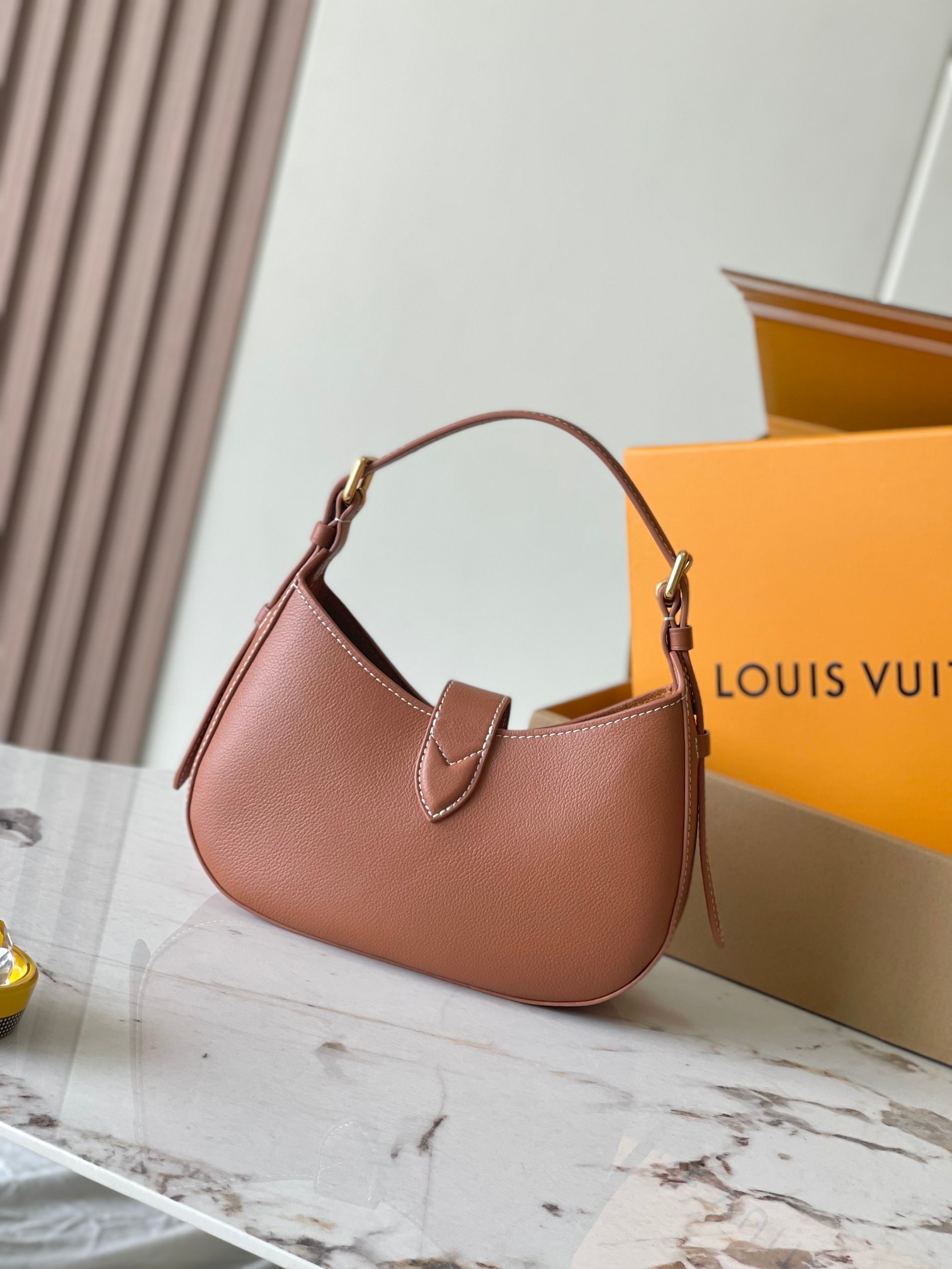 LV Bag