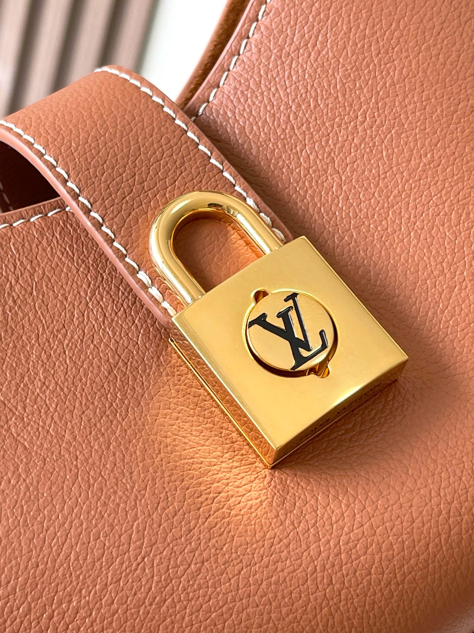 LV Bag
