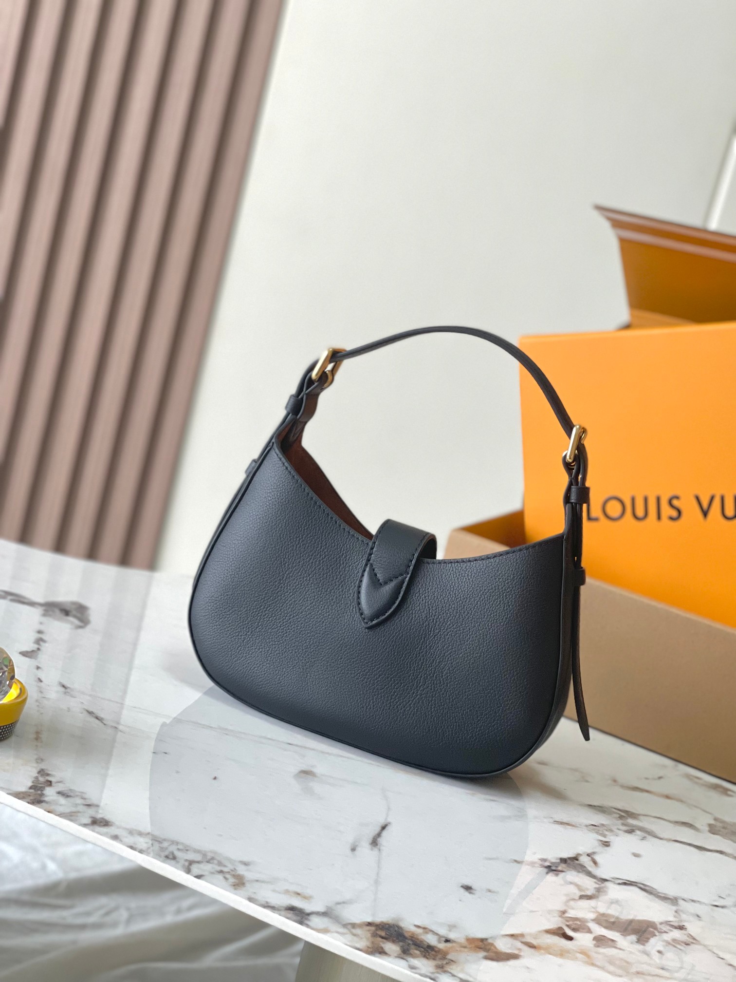 LV Bag
