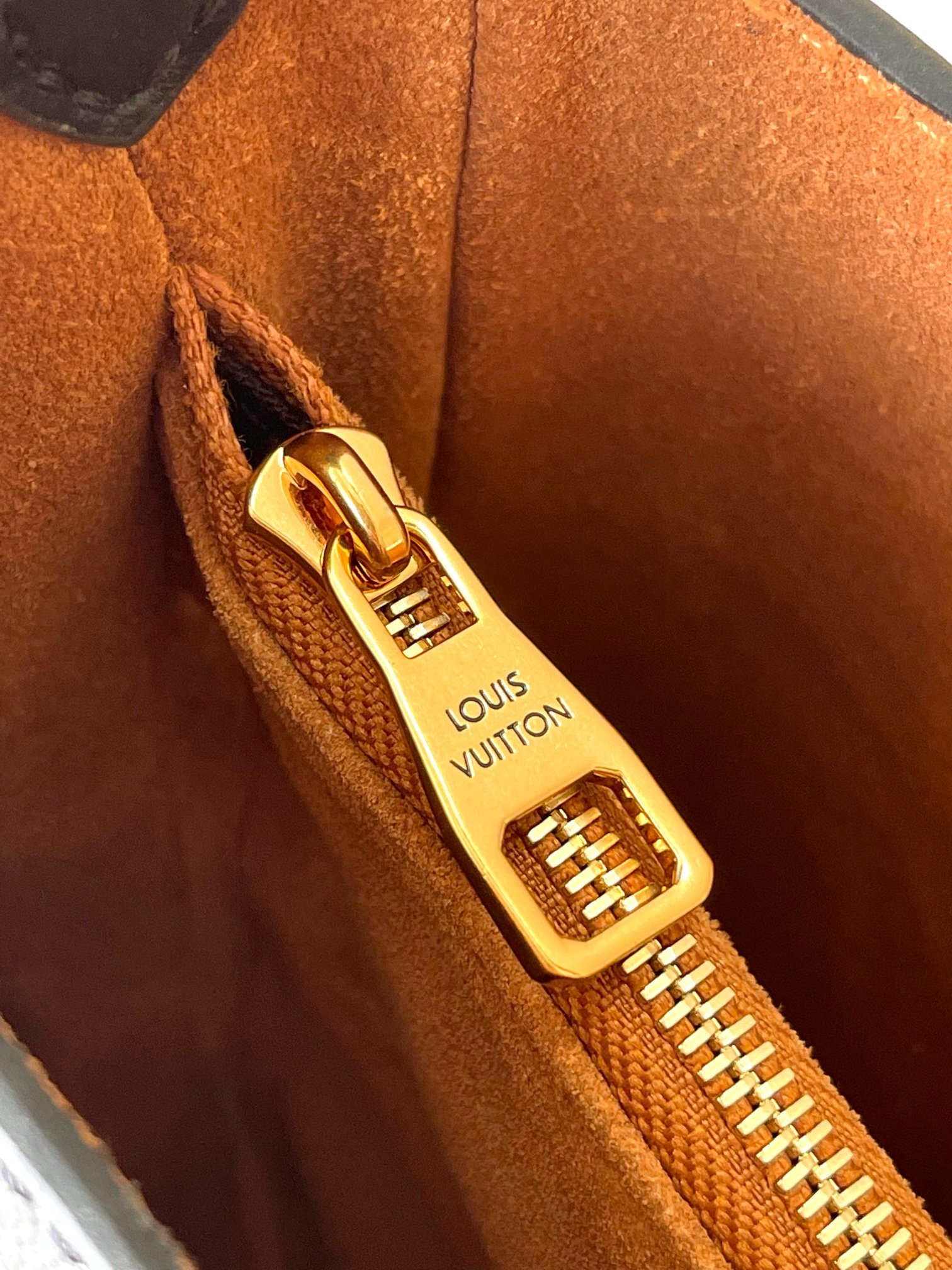 LV Bag