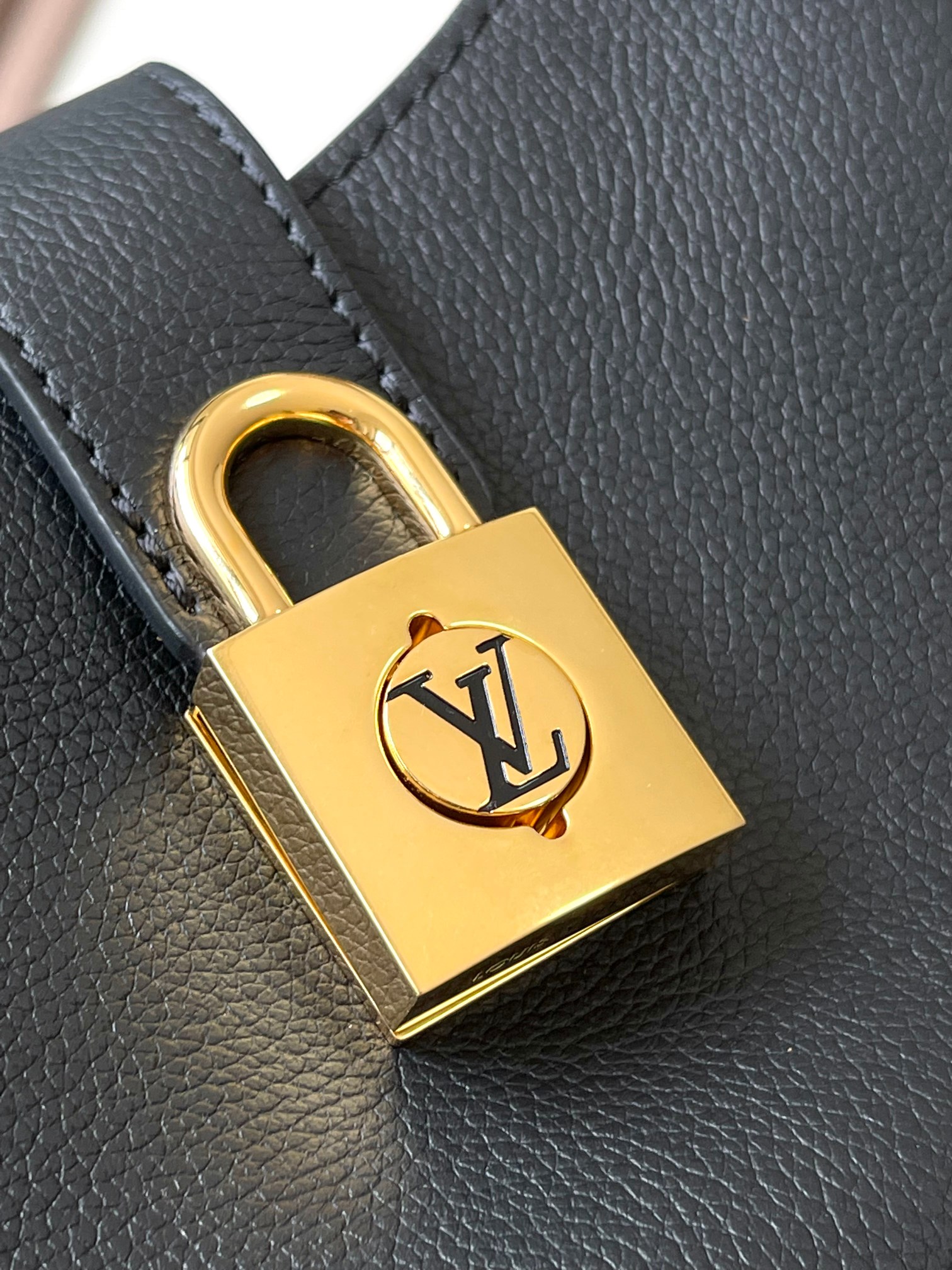 LV Bag