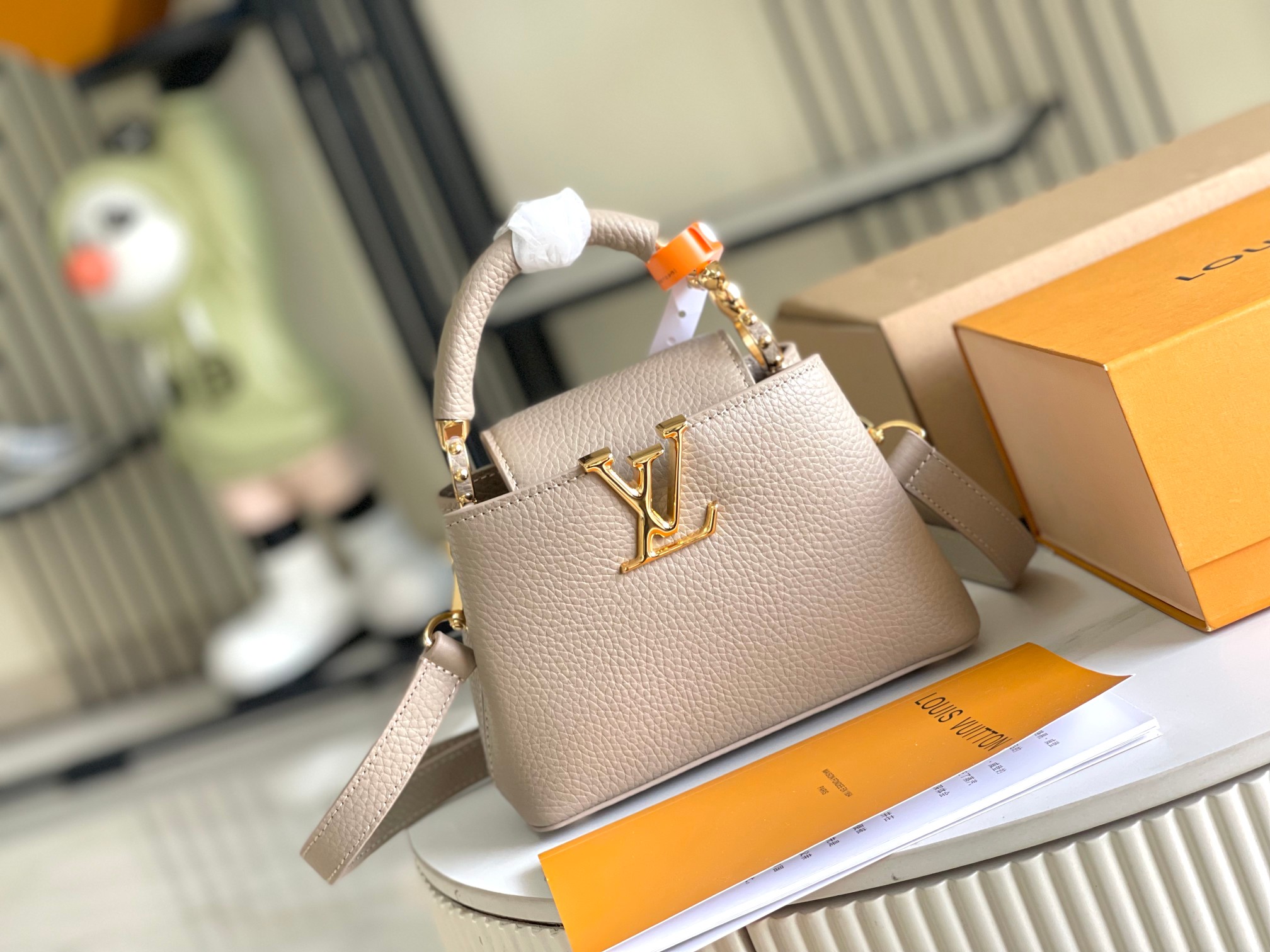 LV Bag