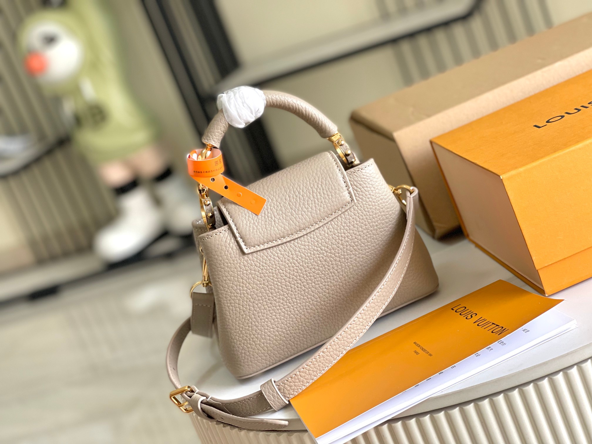 LV Bag