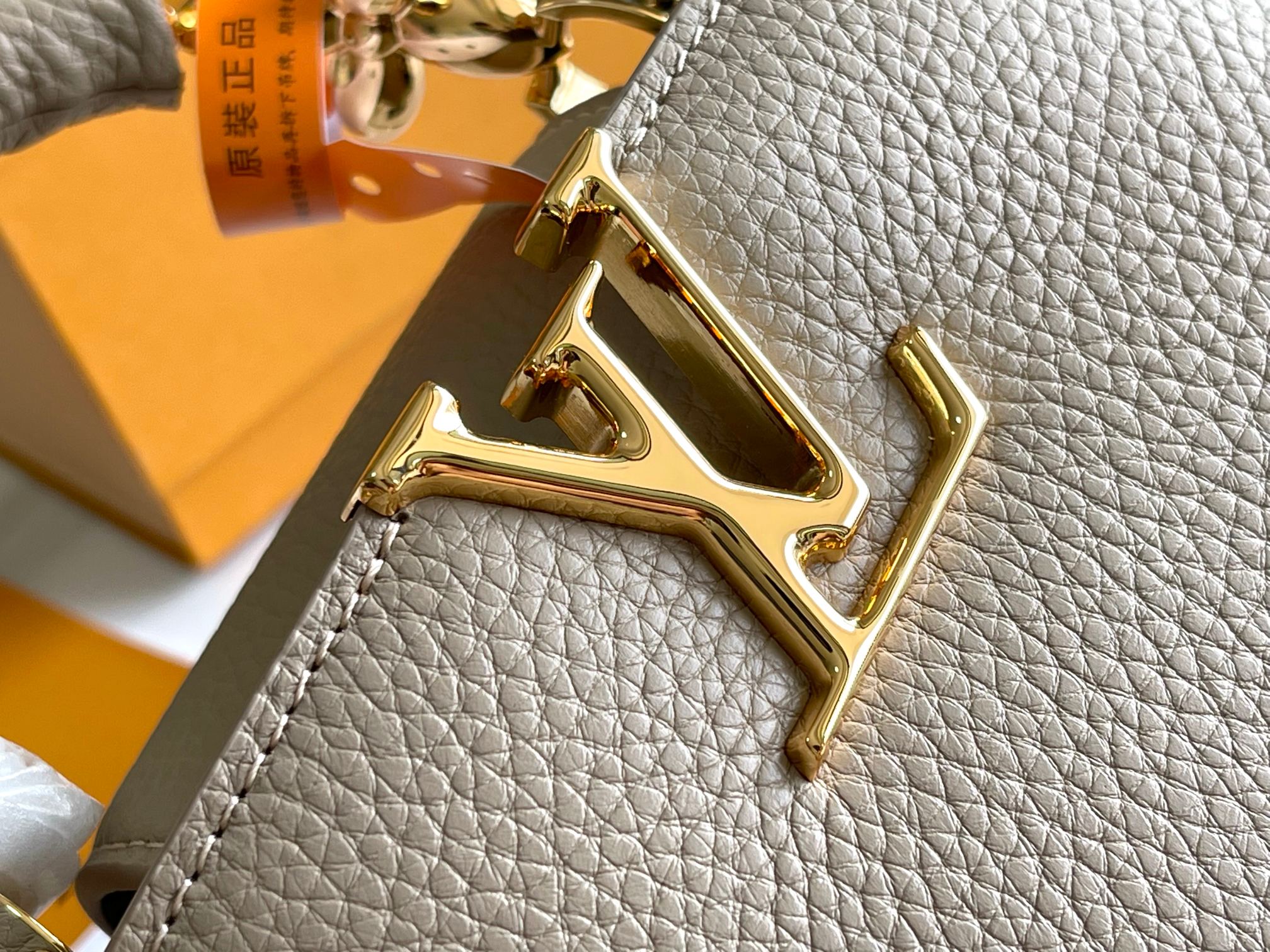 LV Bag