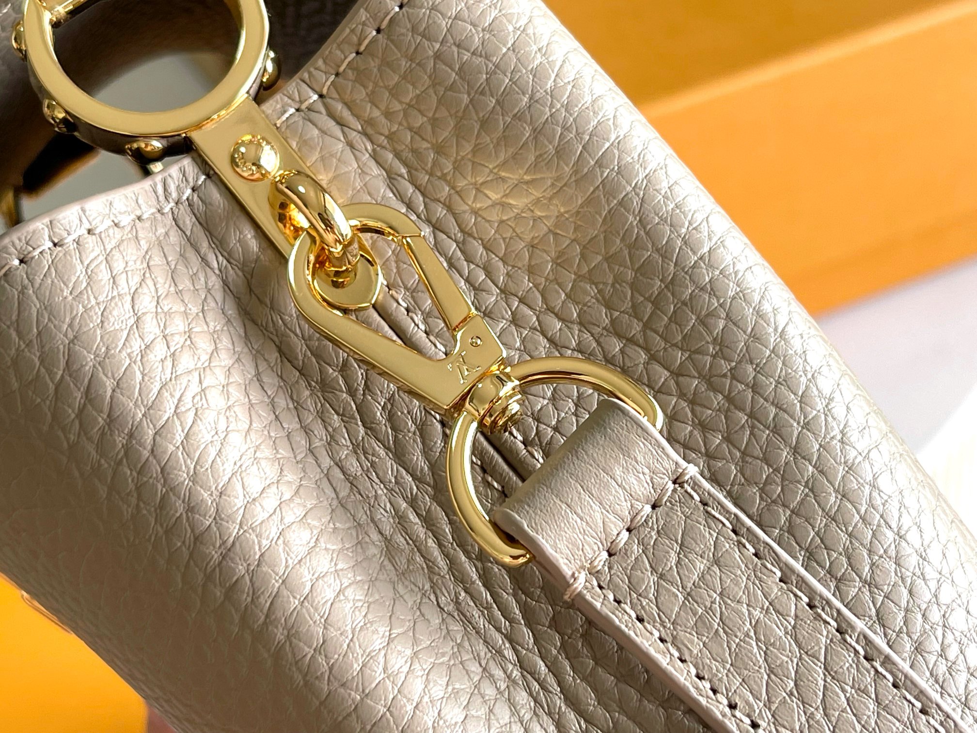 LV Bag