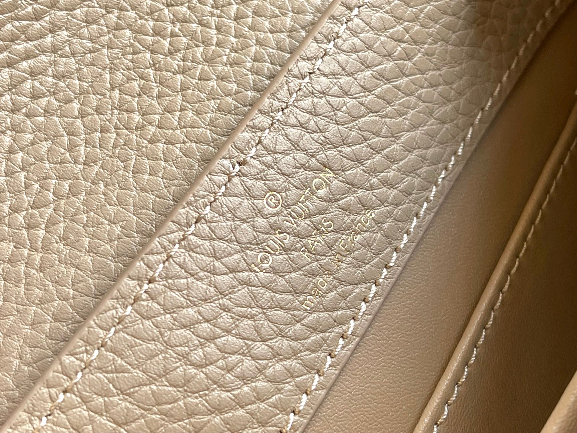 LV Bag